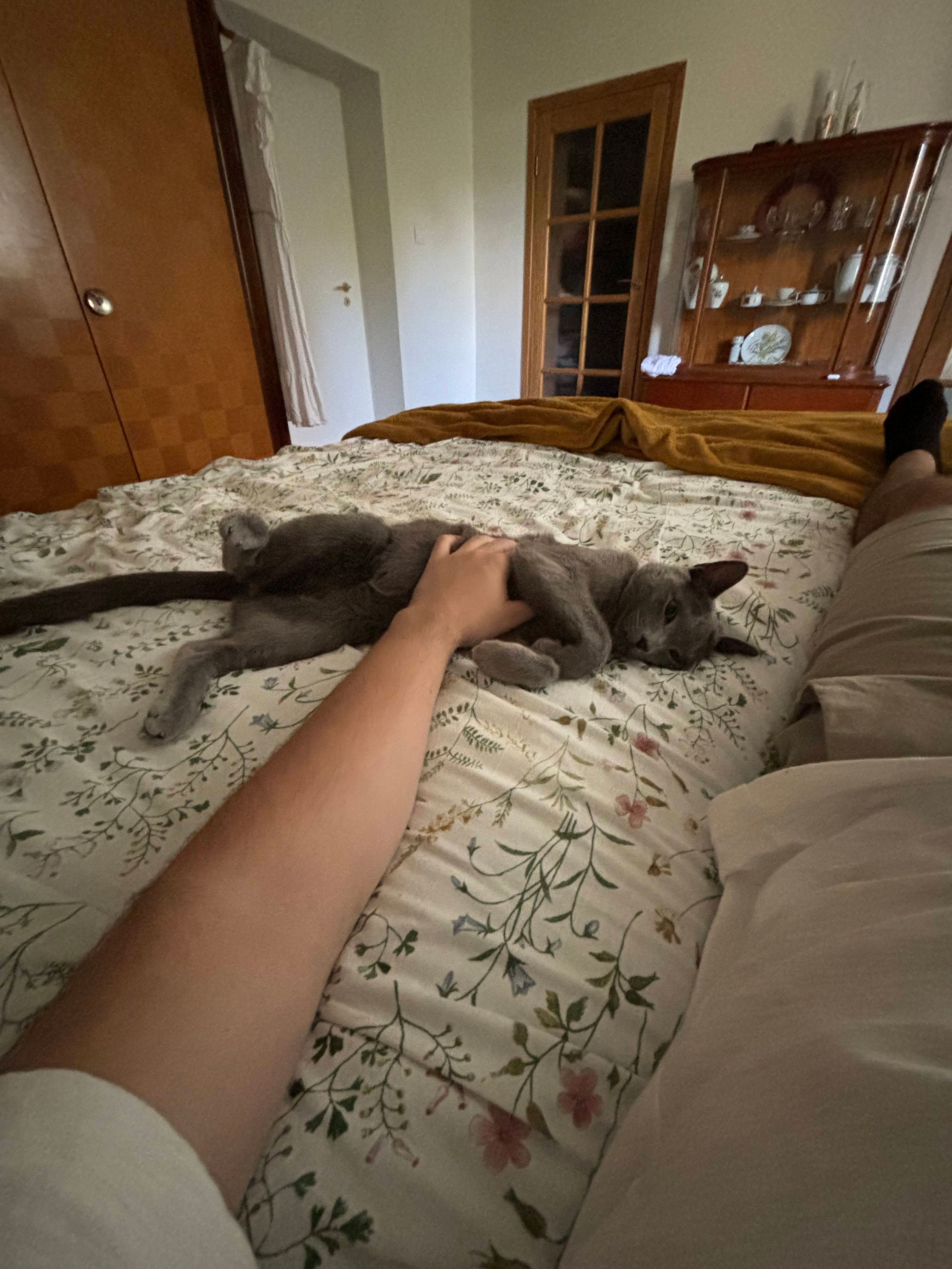 image-6