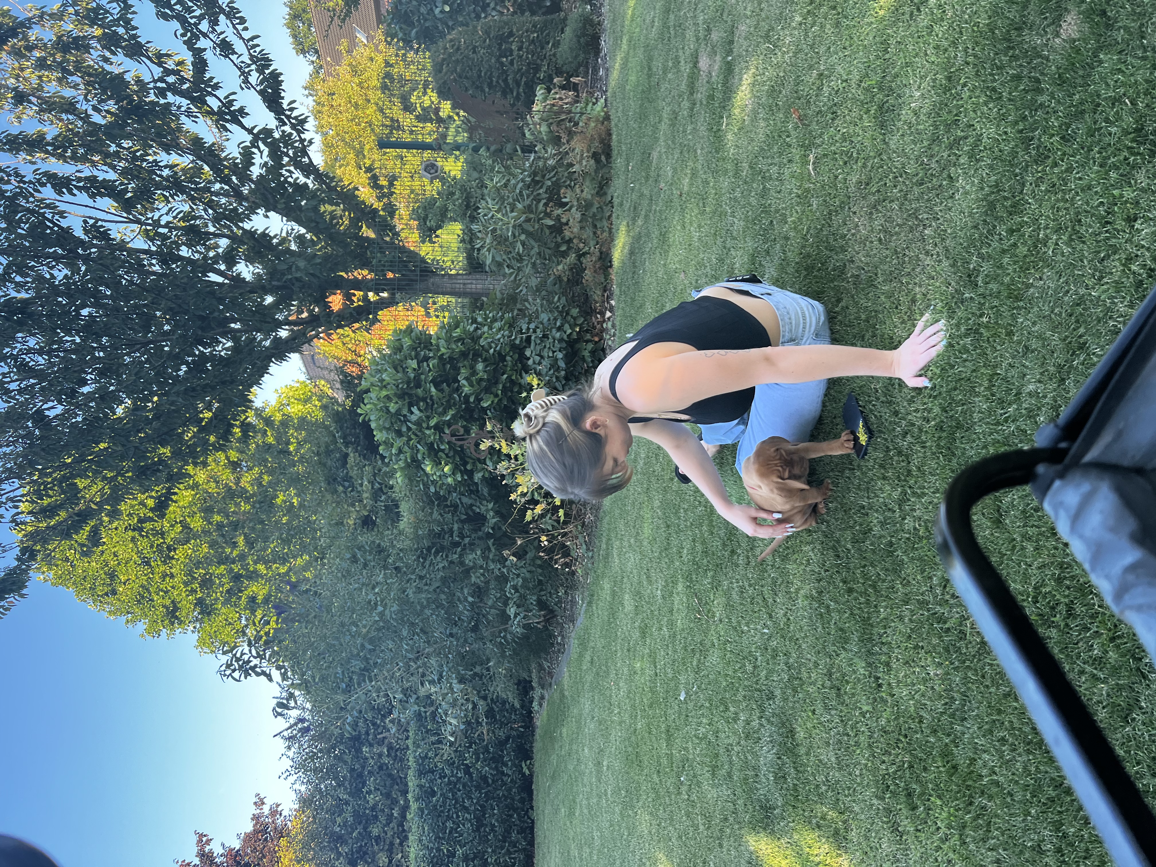 image-2