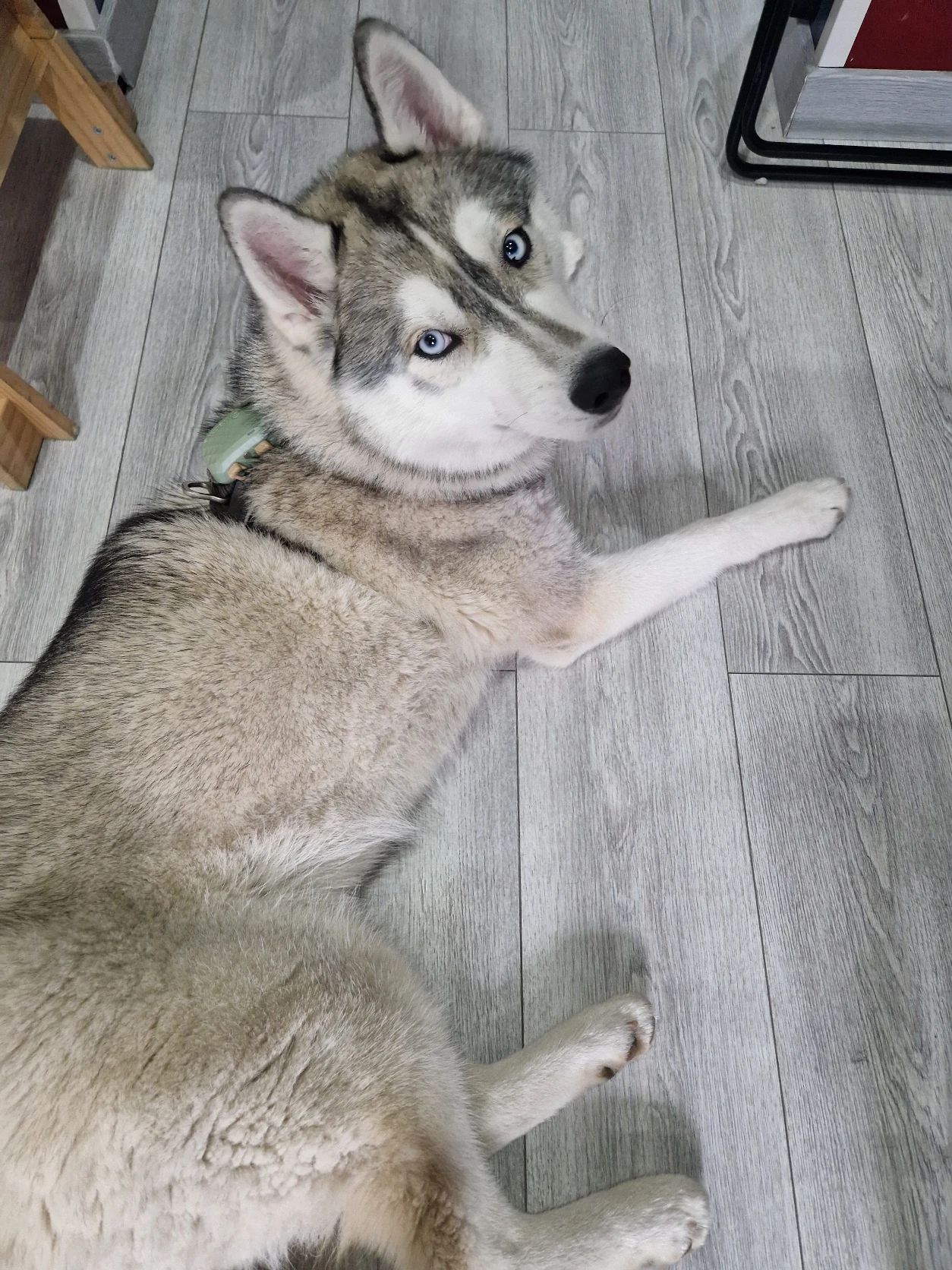 image-8