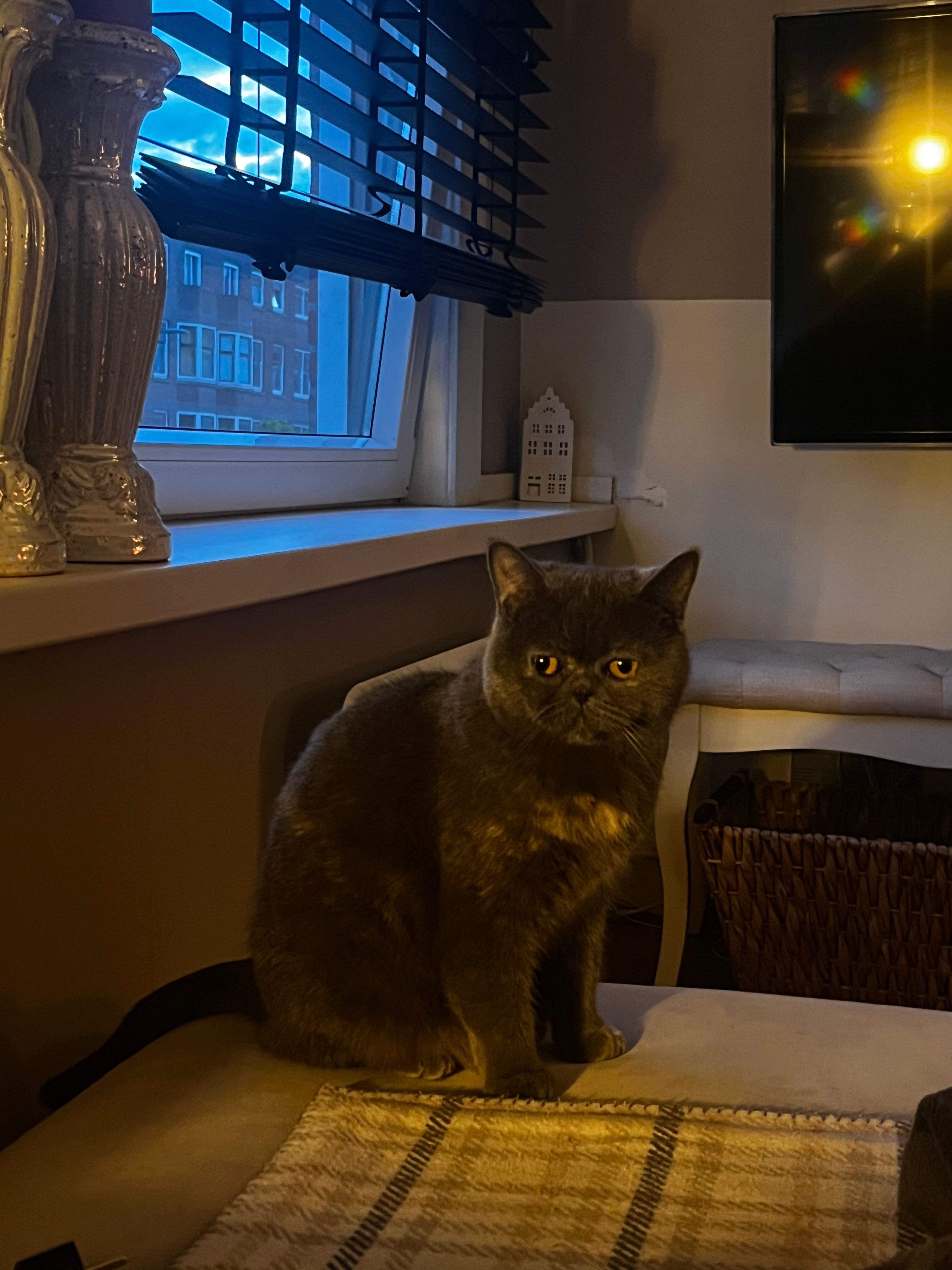 image-16
