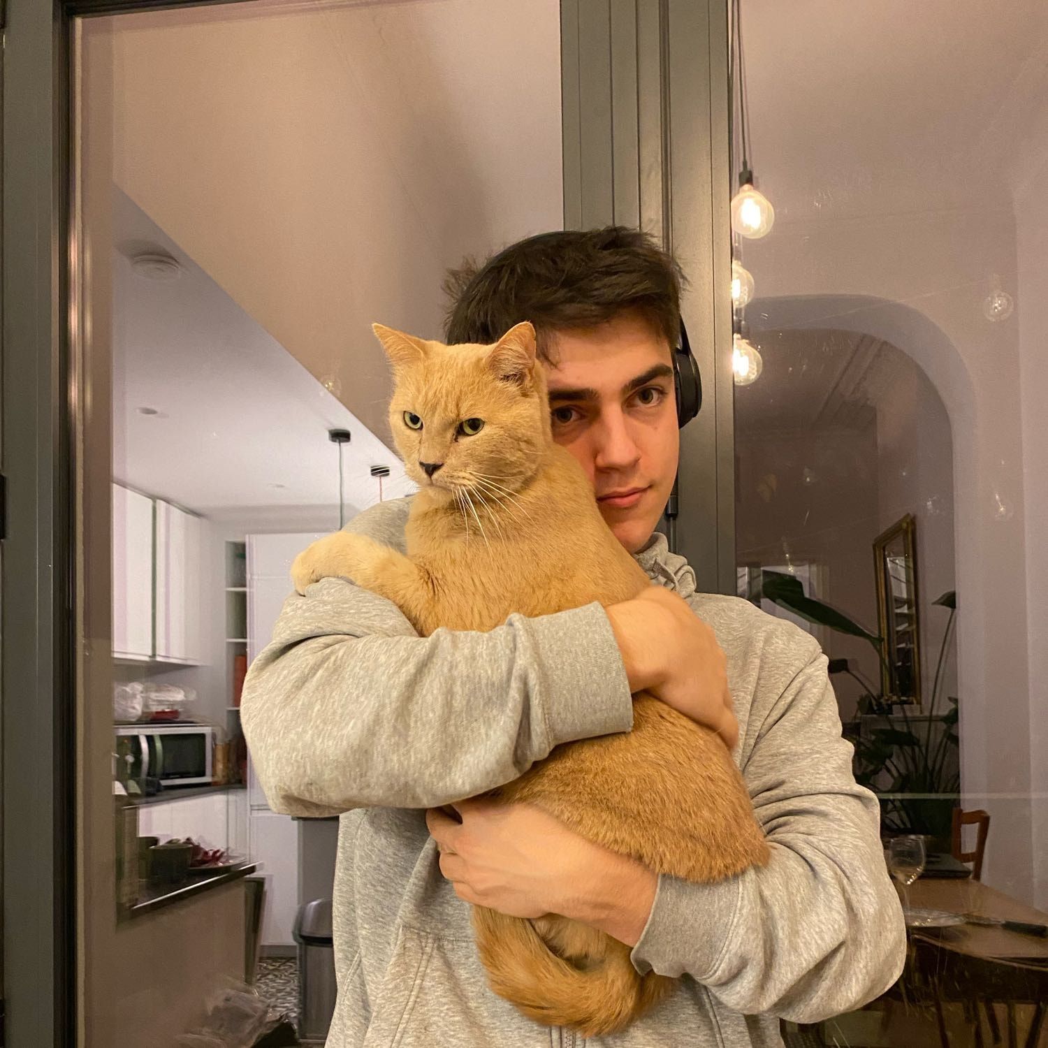 Merlin