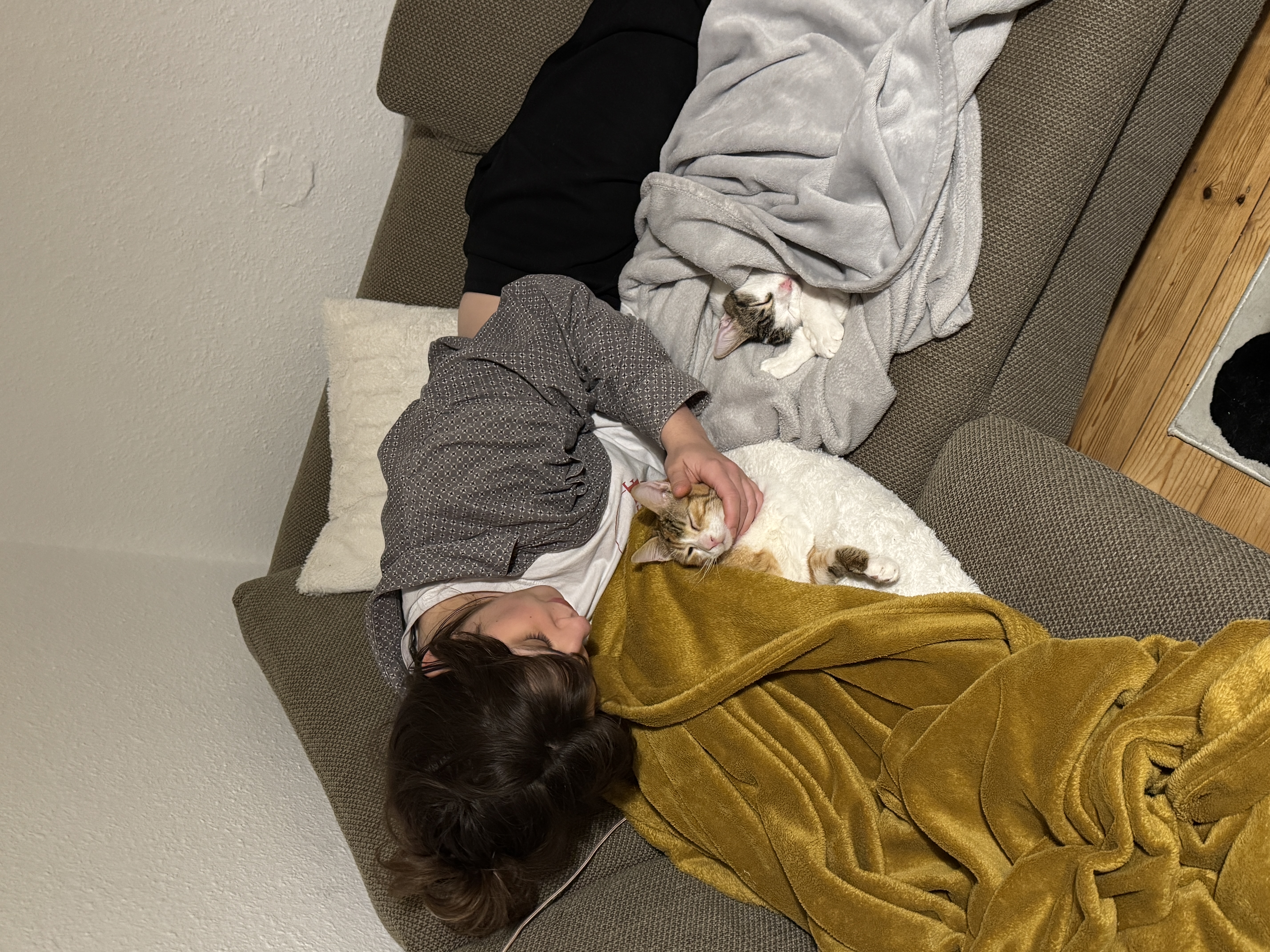 image-5