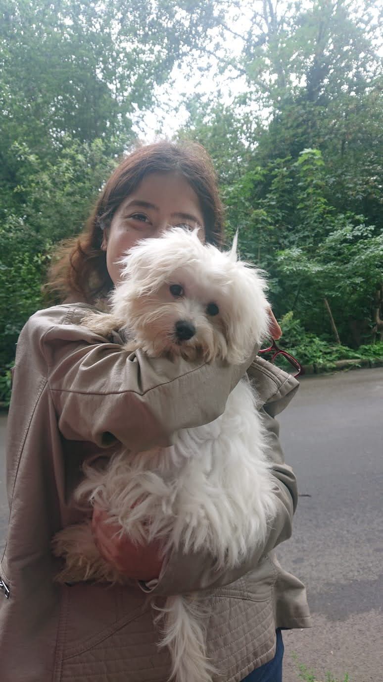 image-5