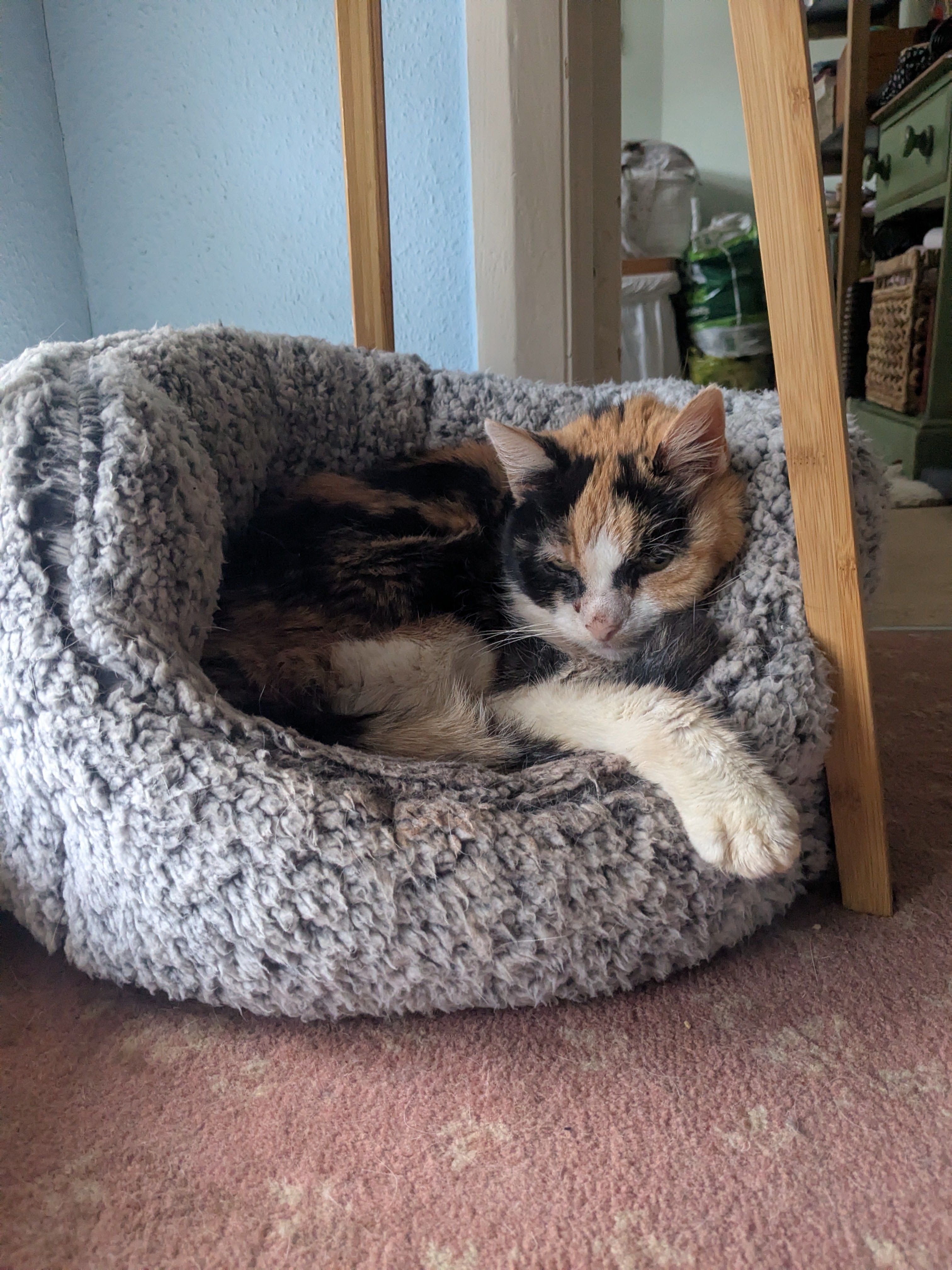 image-13