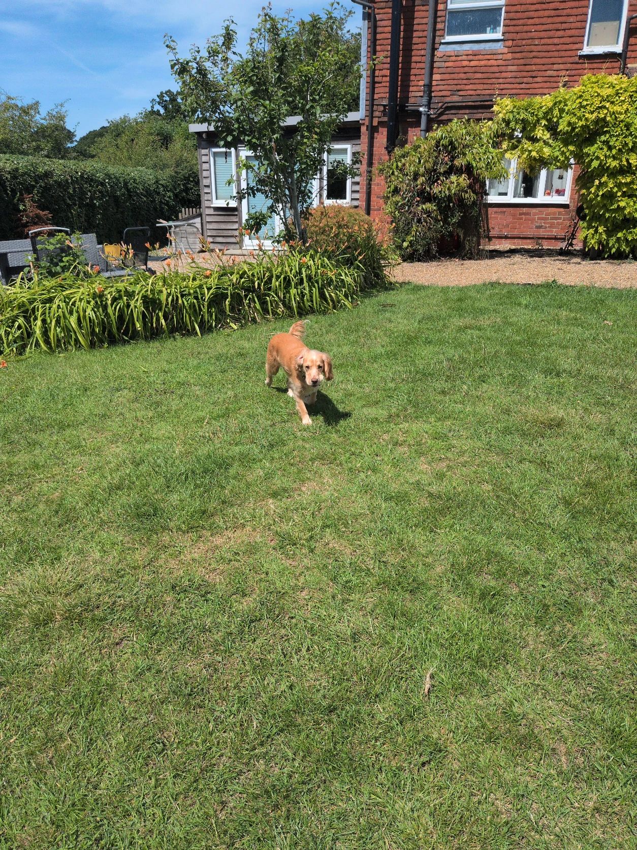 image-18