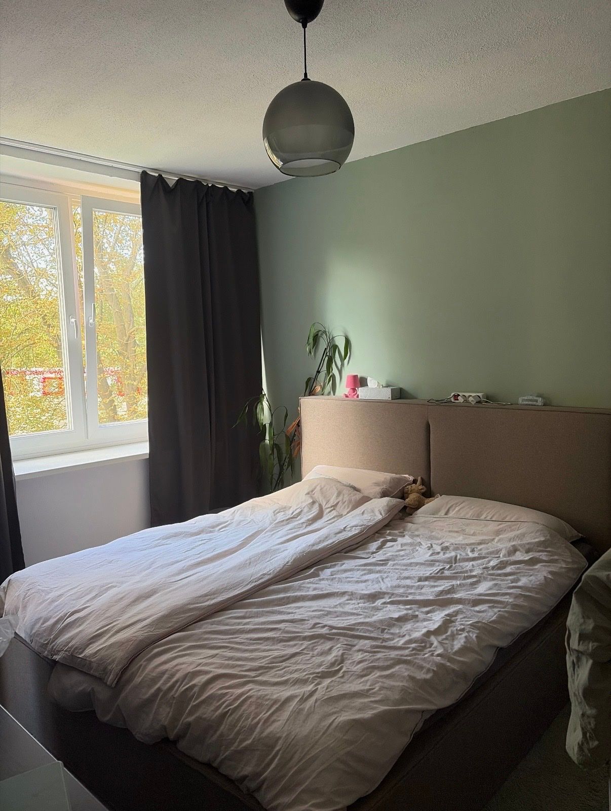 image-12