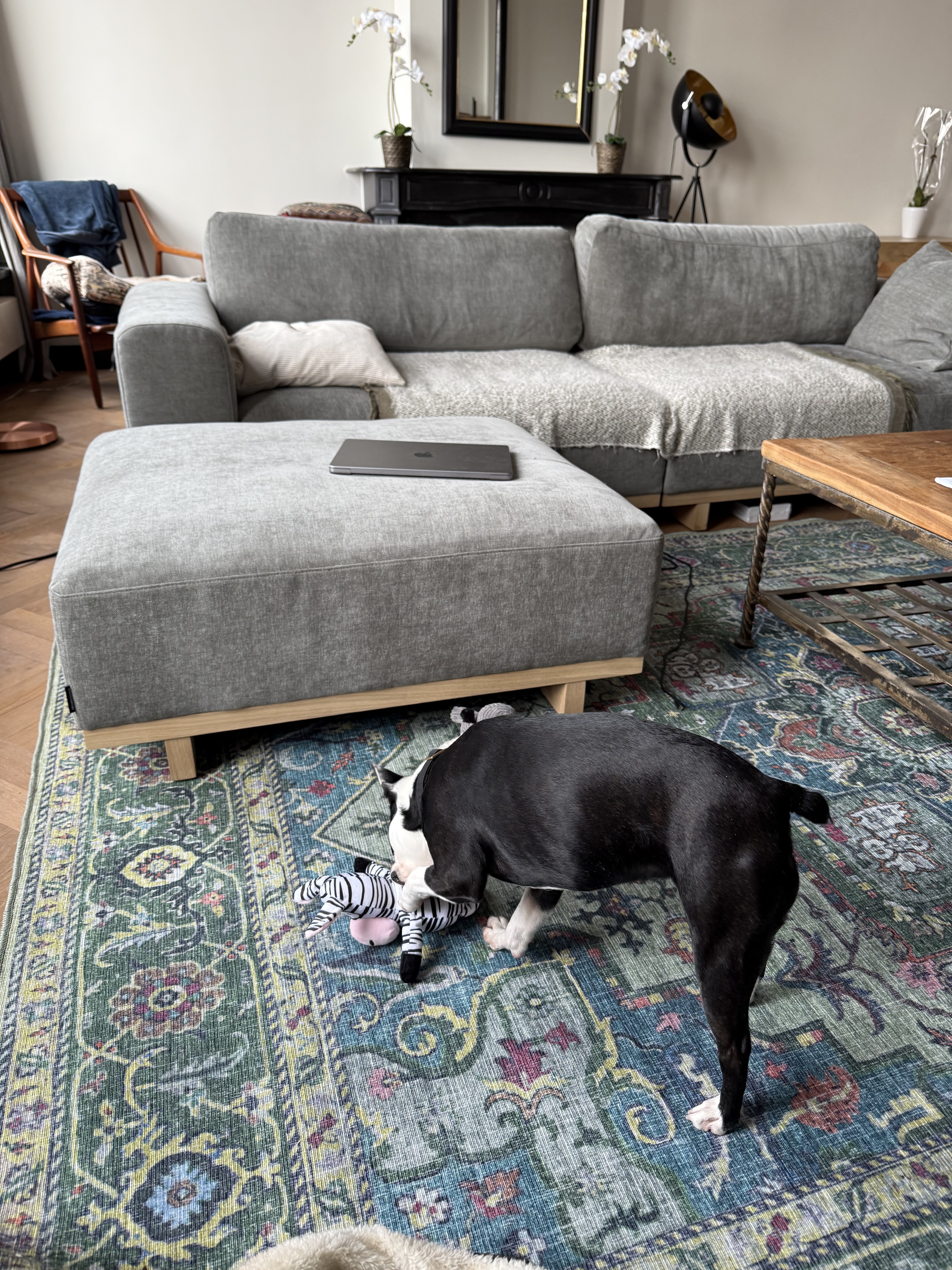 image-13
