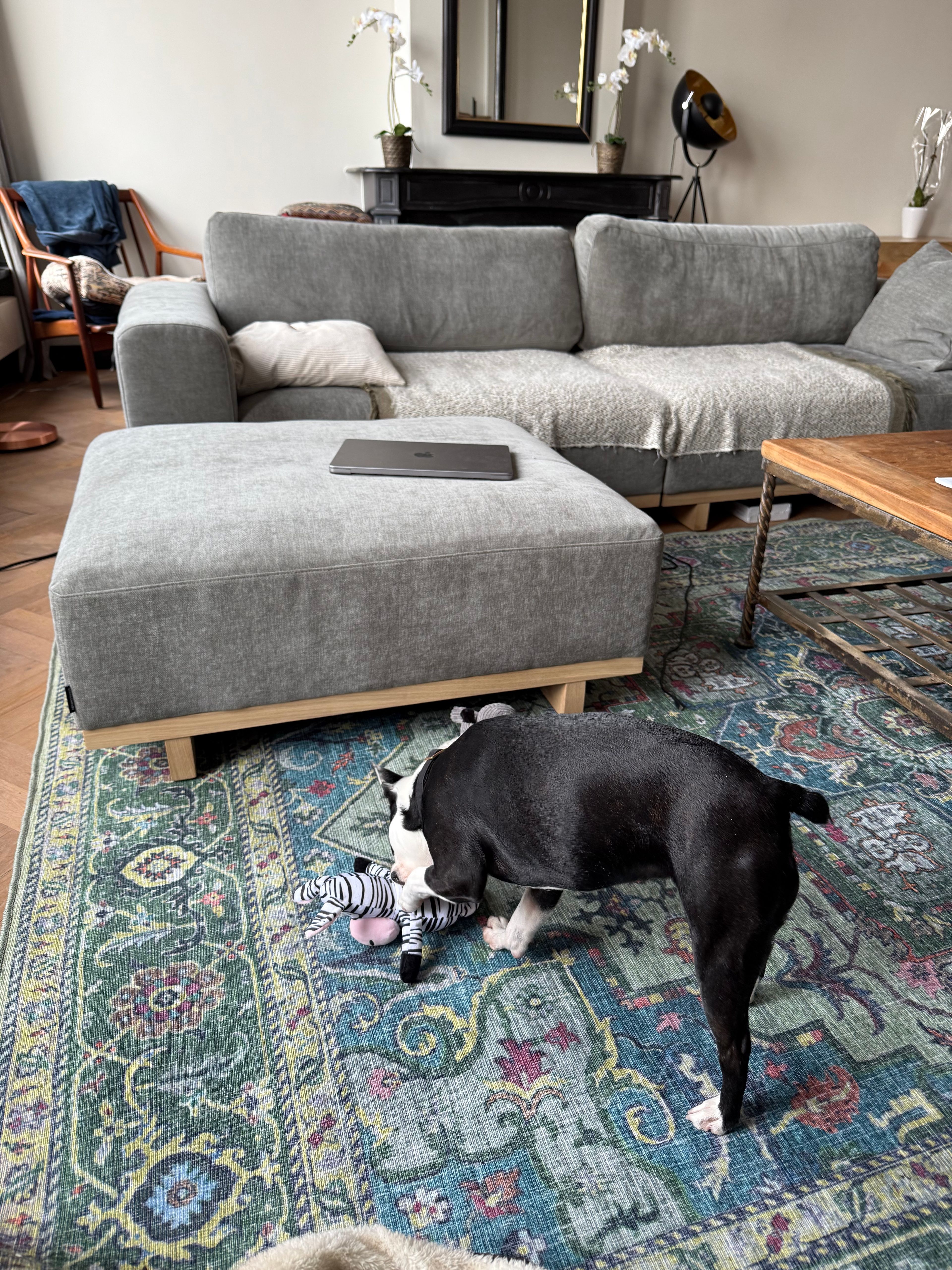 image-13