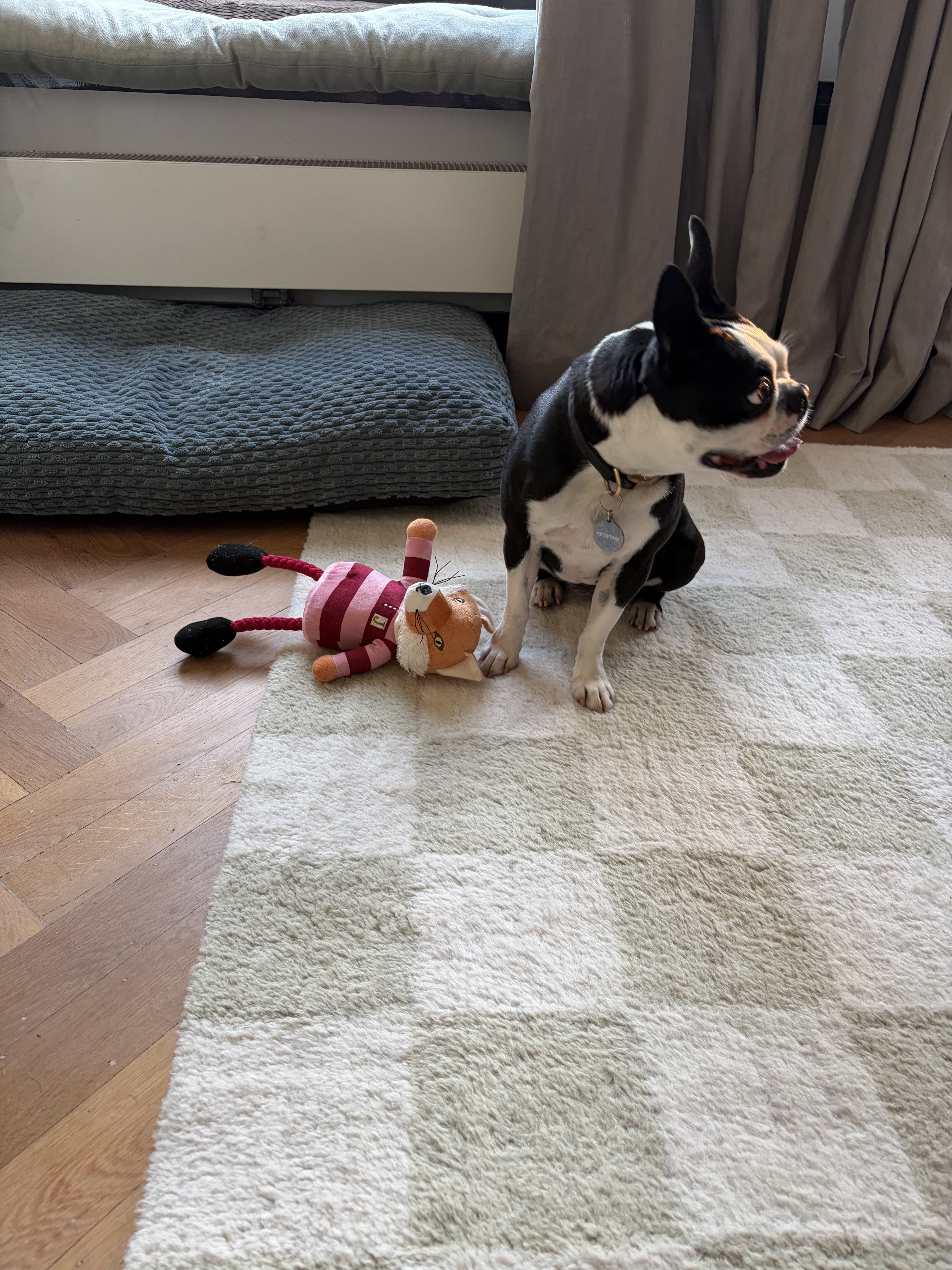 image-14