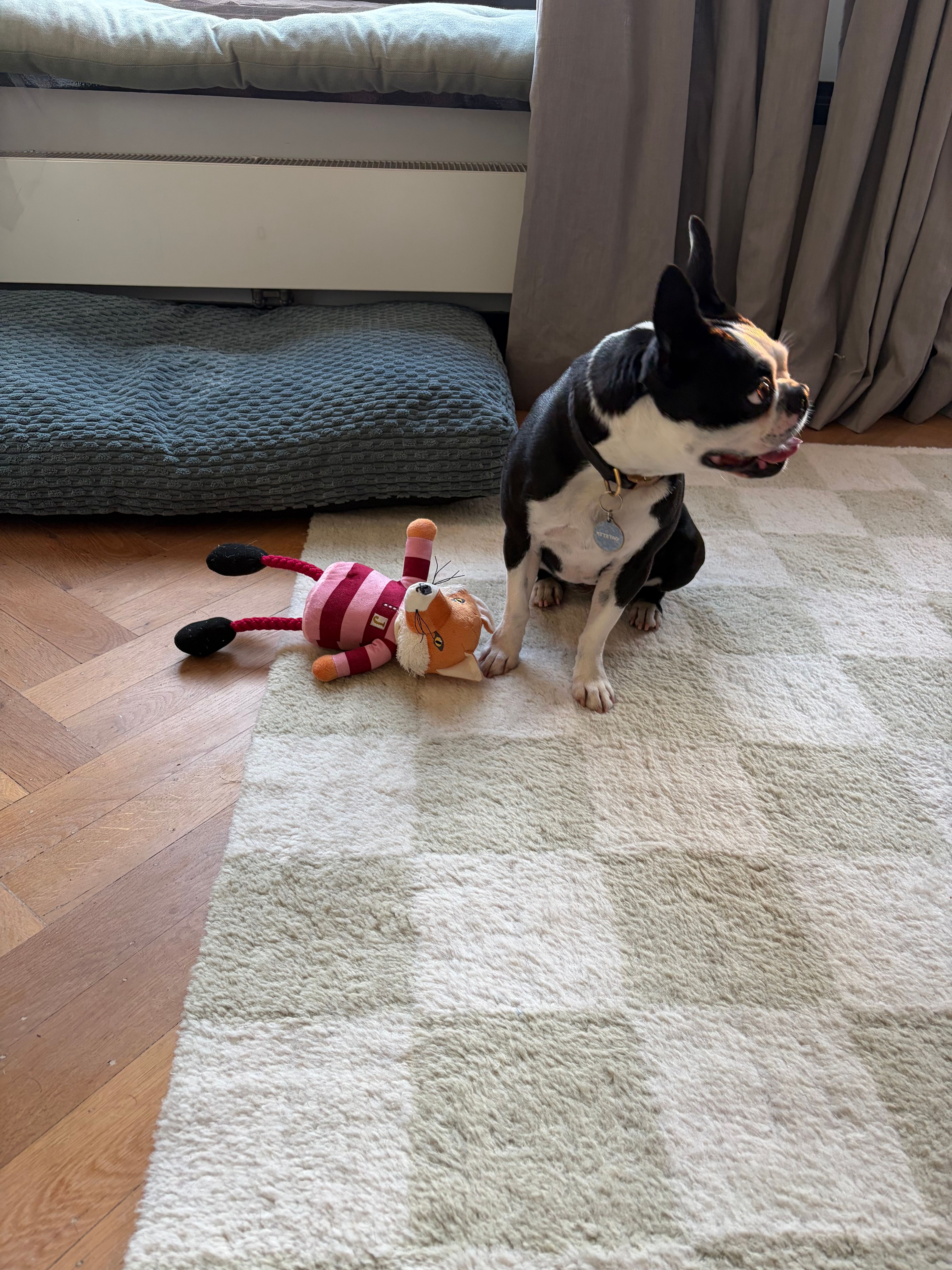 image-14