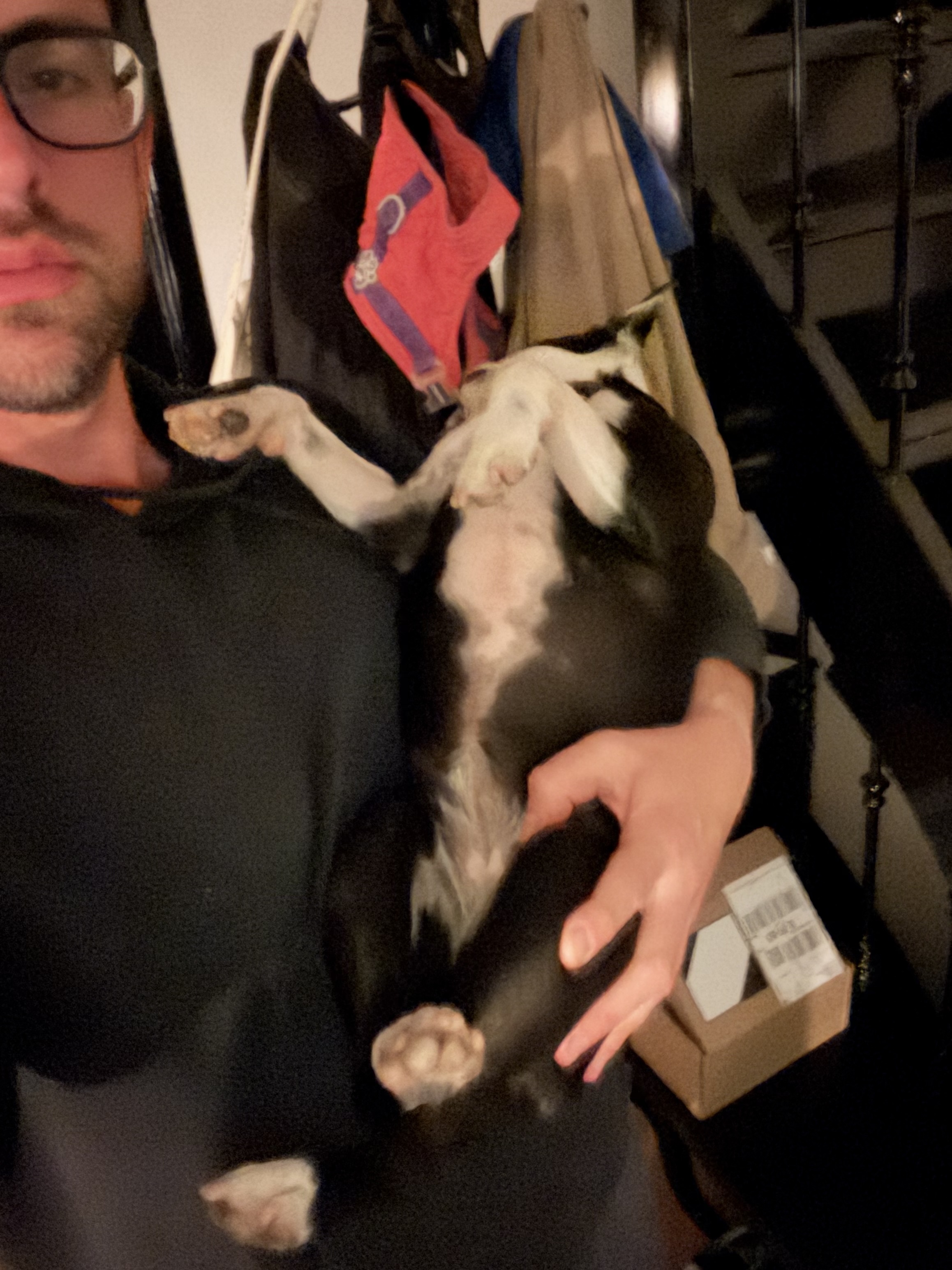 image-6
