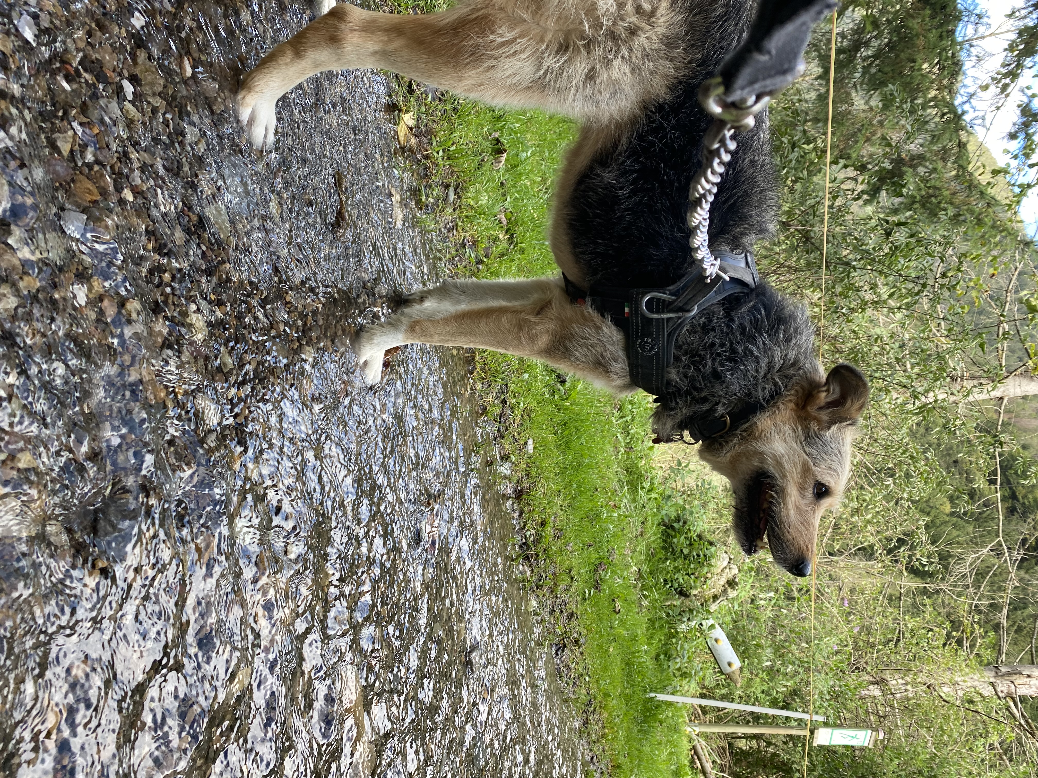 image-4