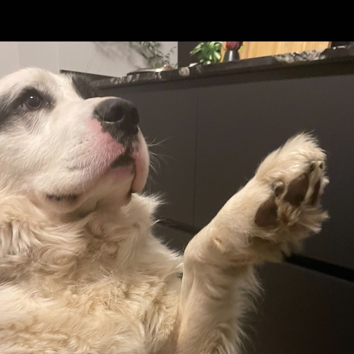 Ettore