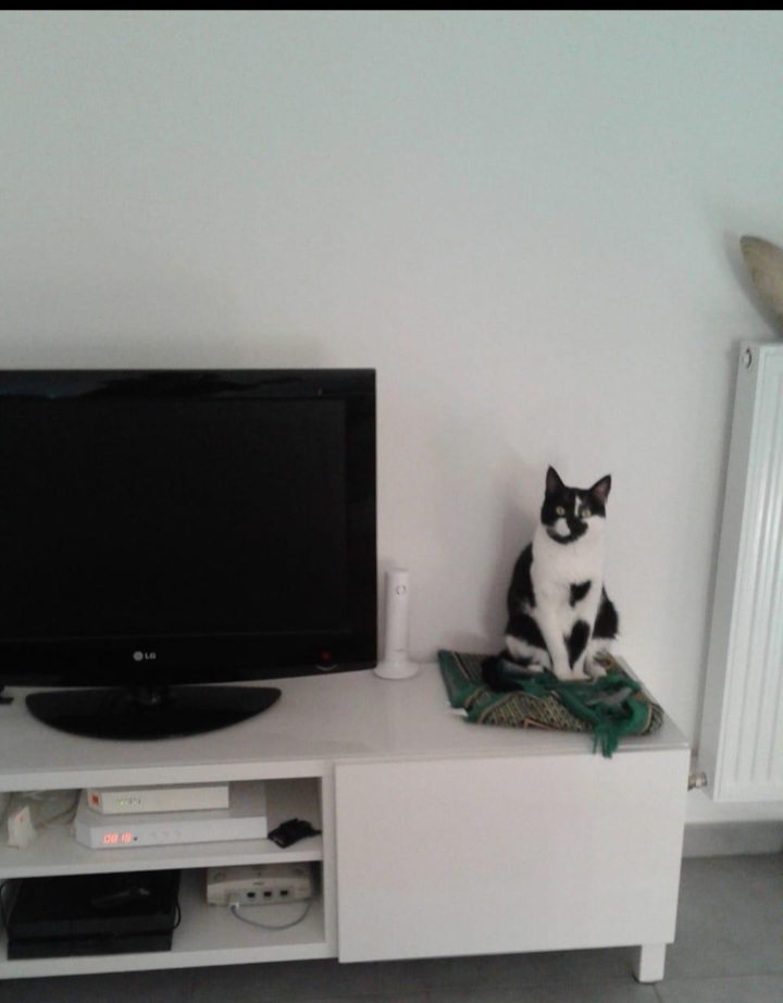 image-6