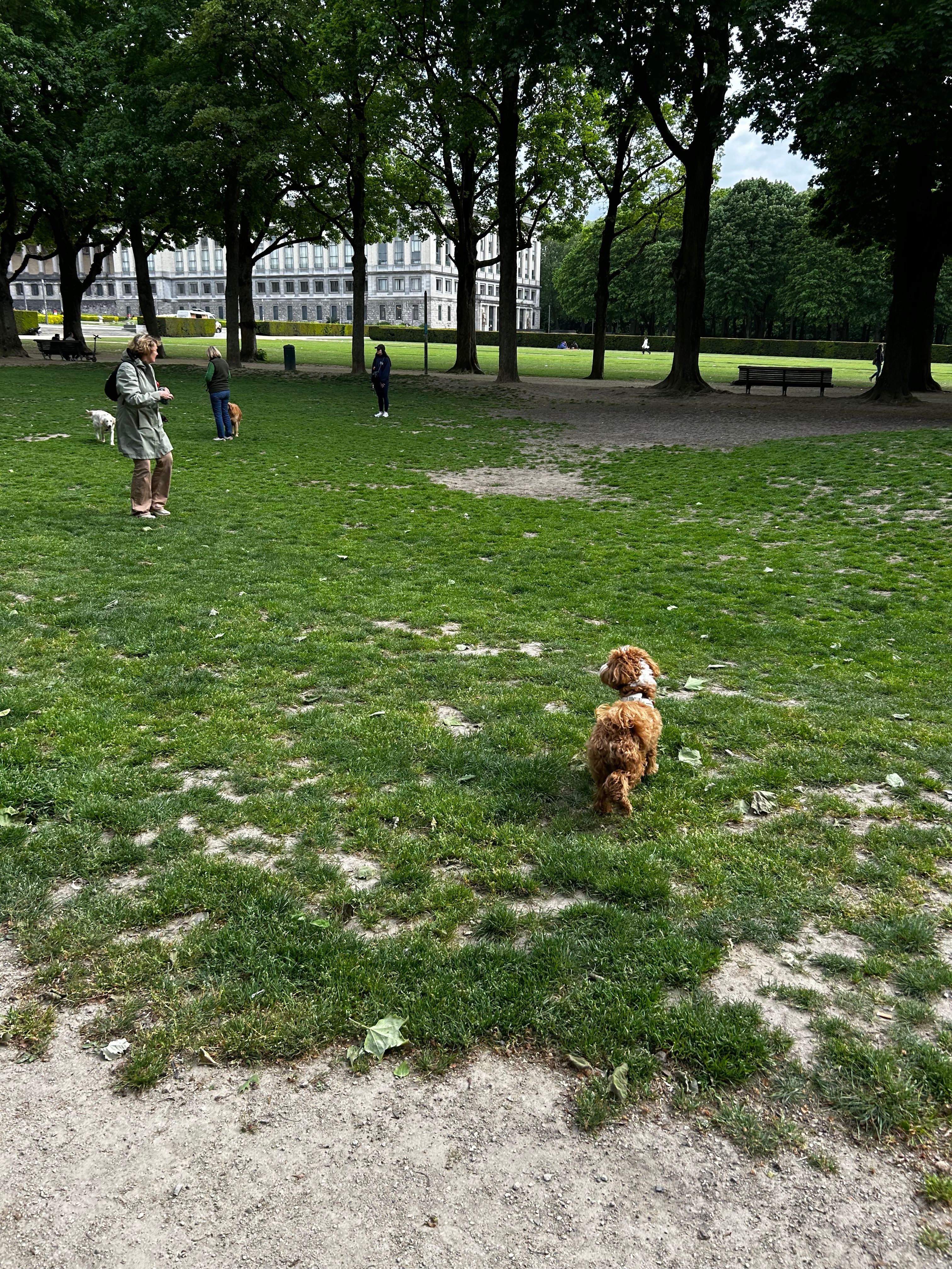 image-17