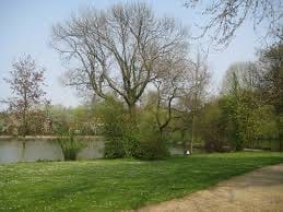 image-25