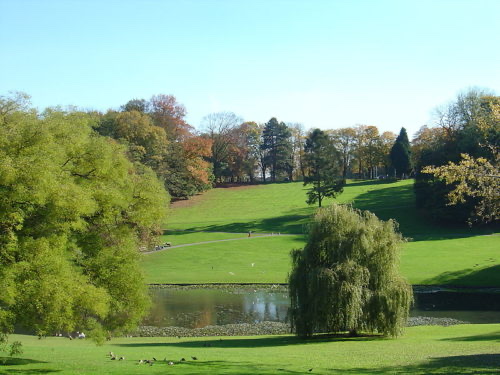 image-23