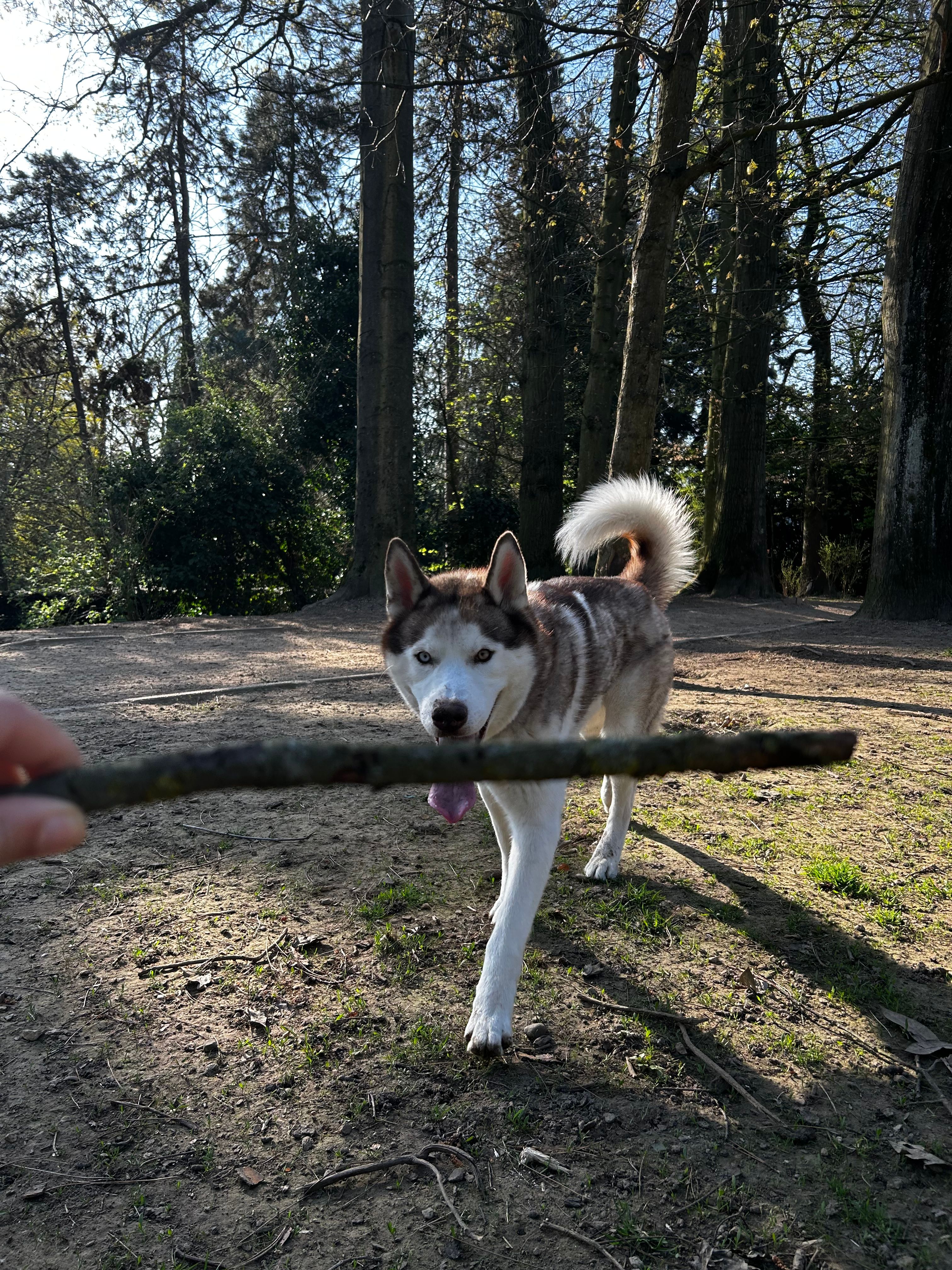 image-7