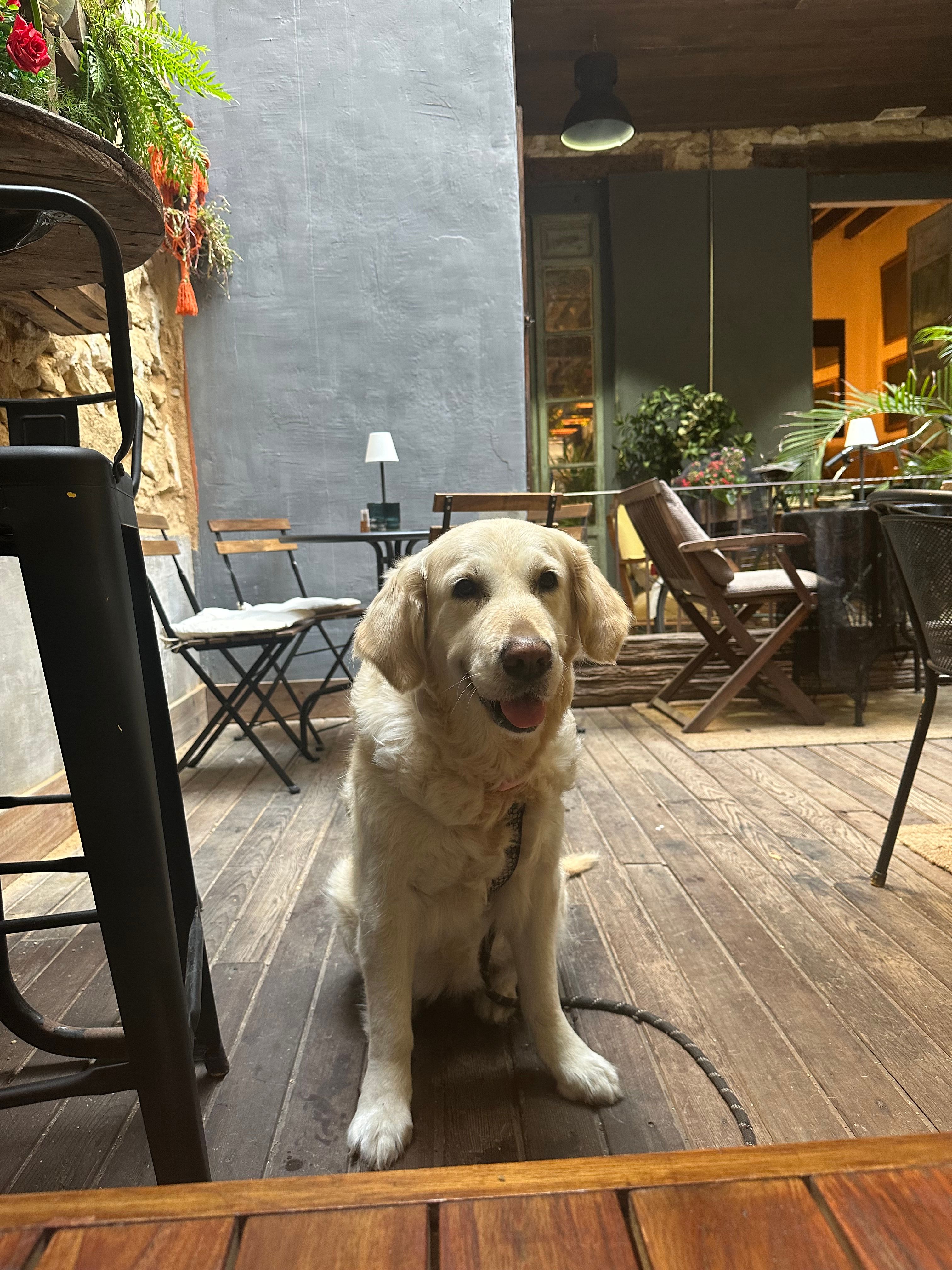 image-18