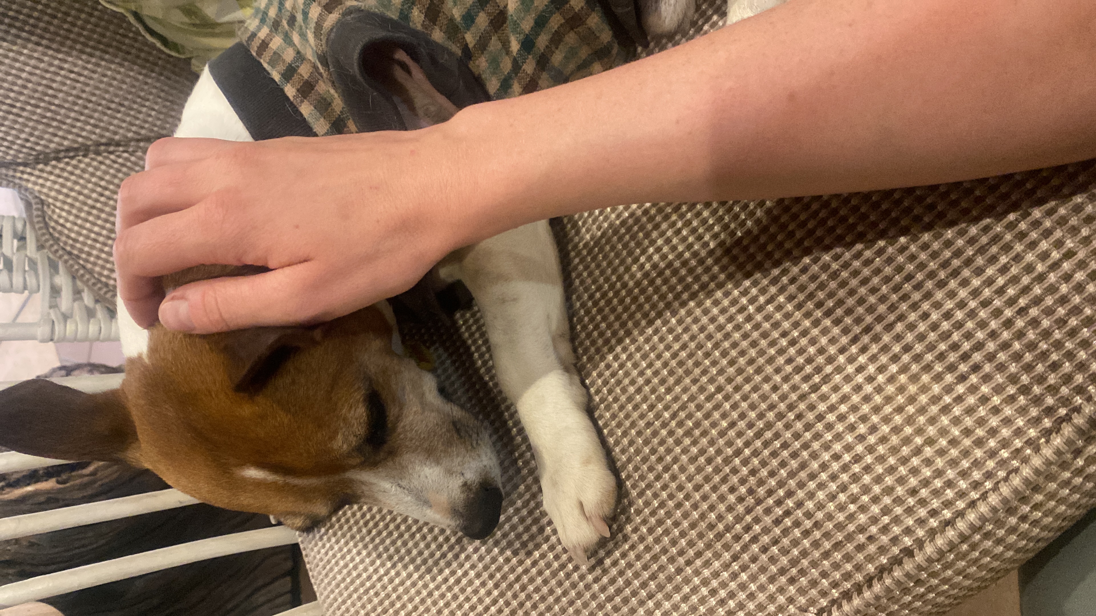 image-7