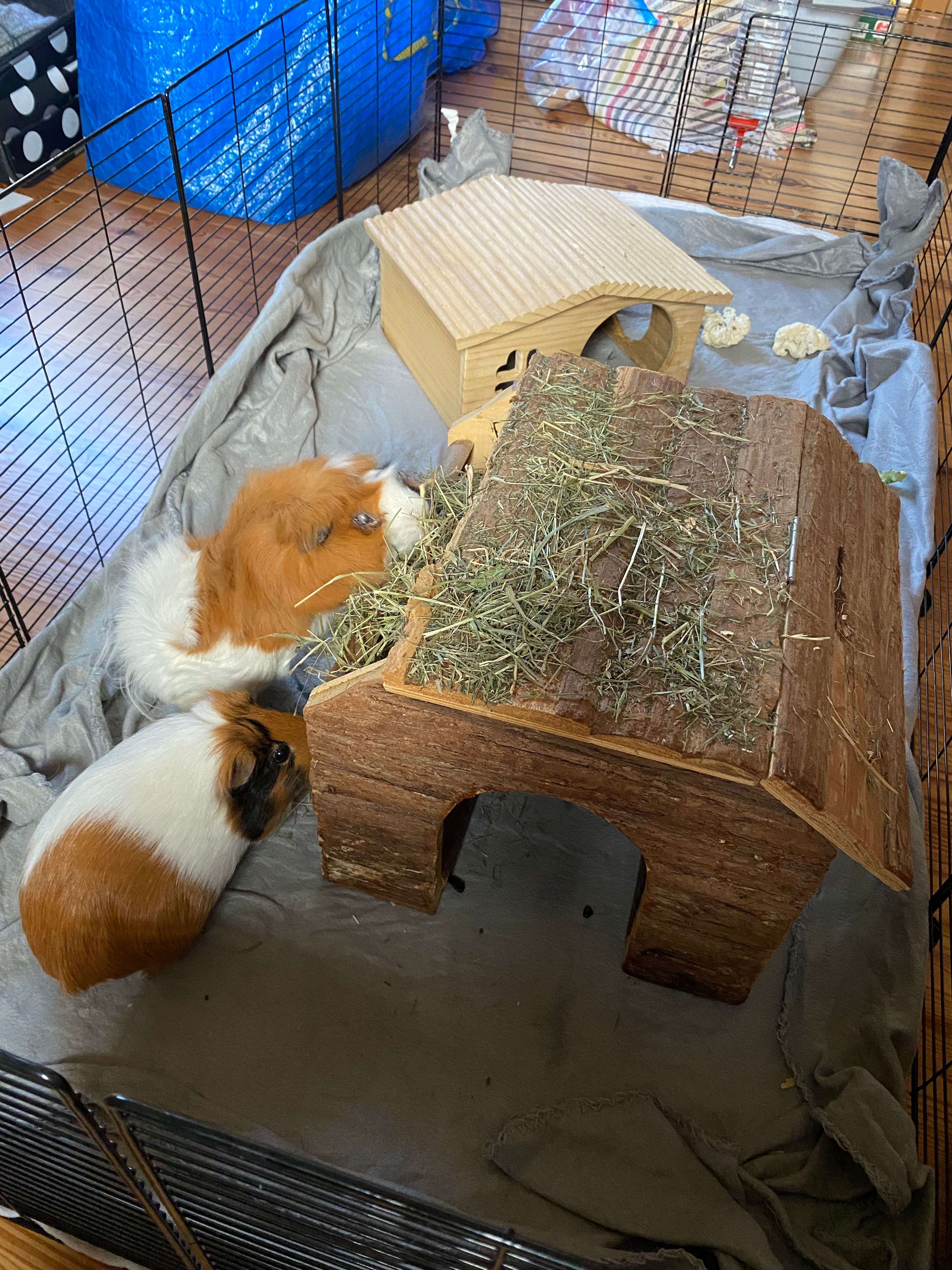 image-14