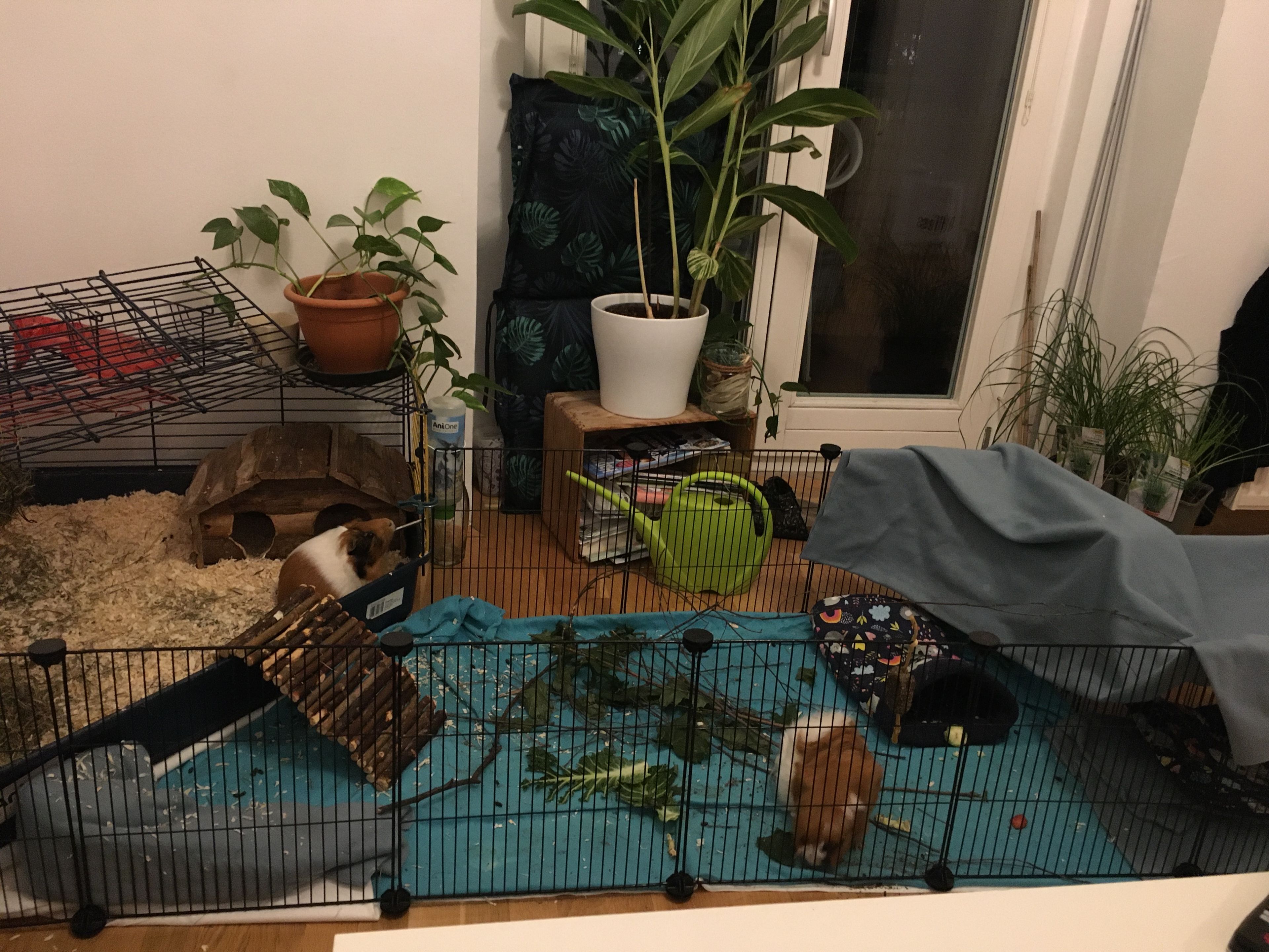 image-13