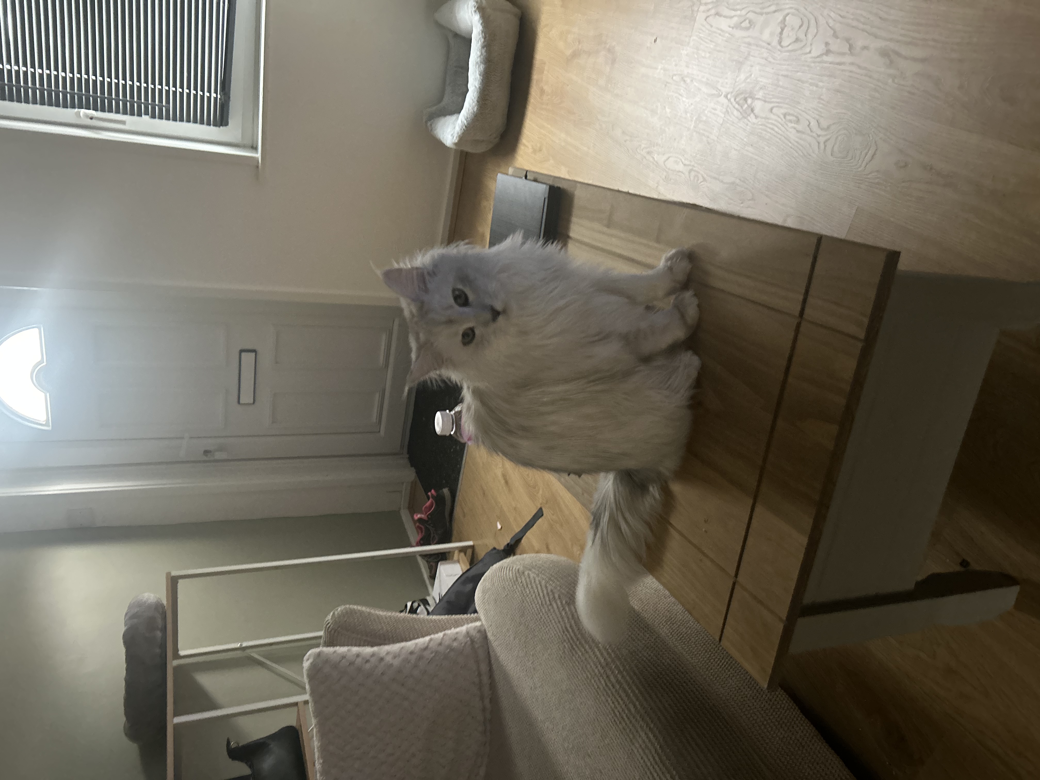 image-13