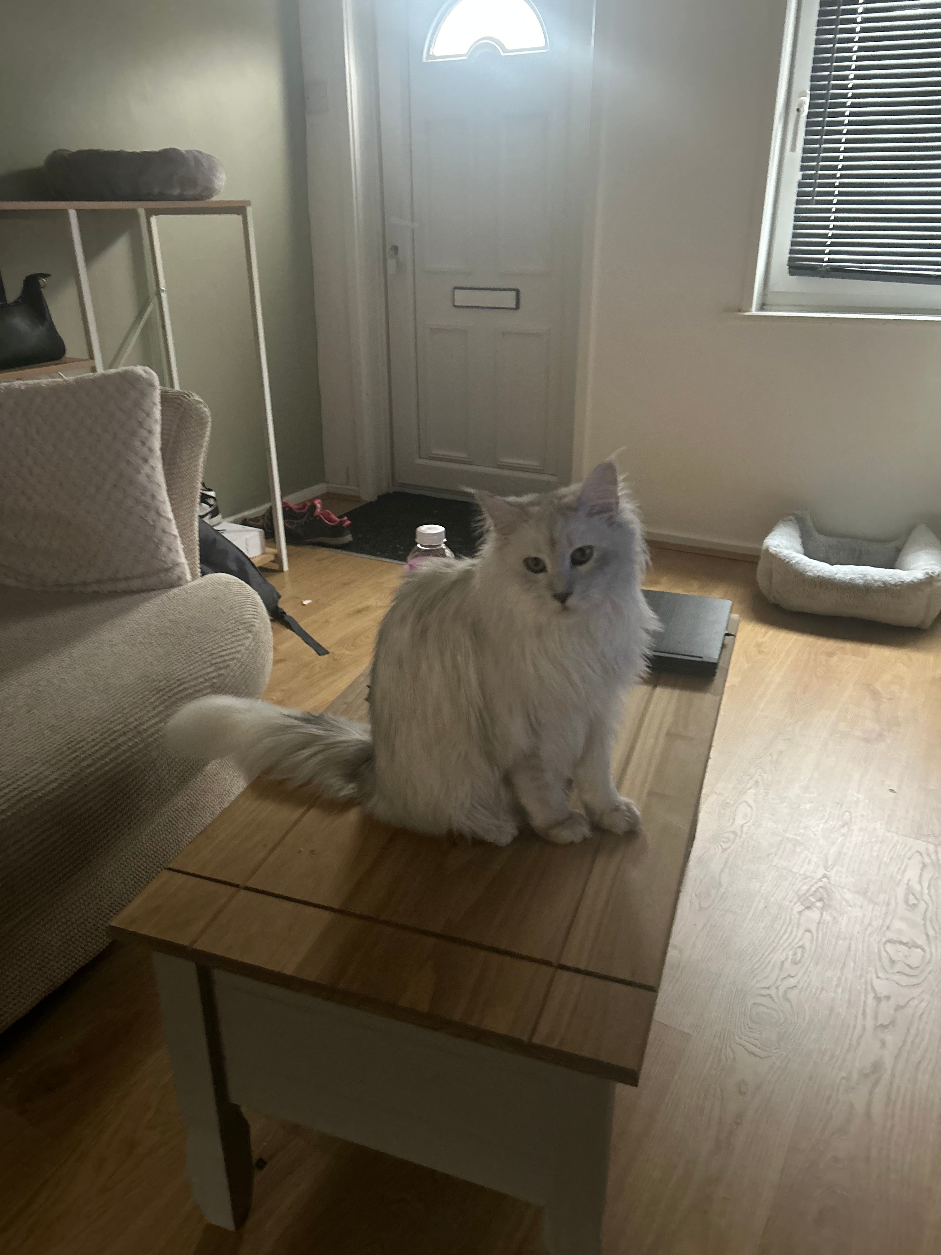 image-13