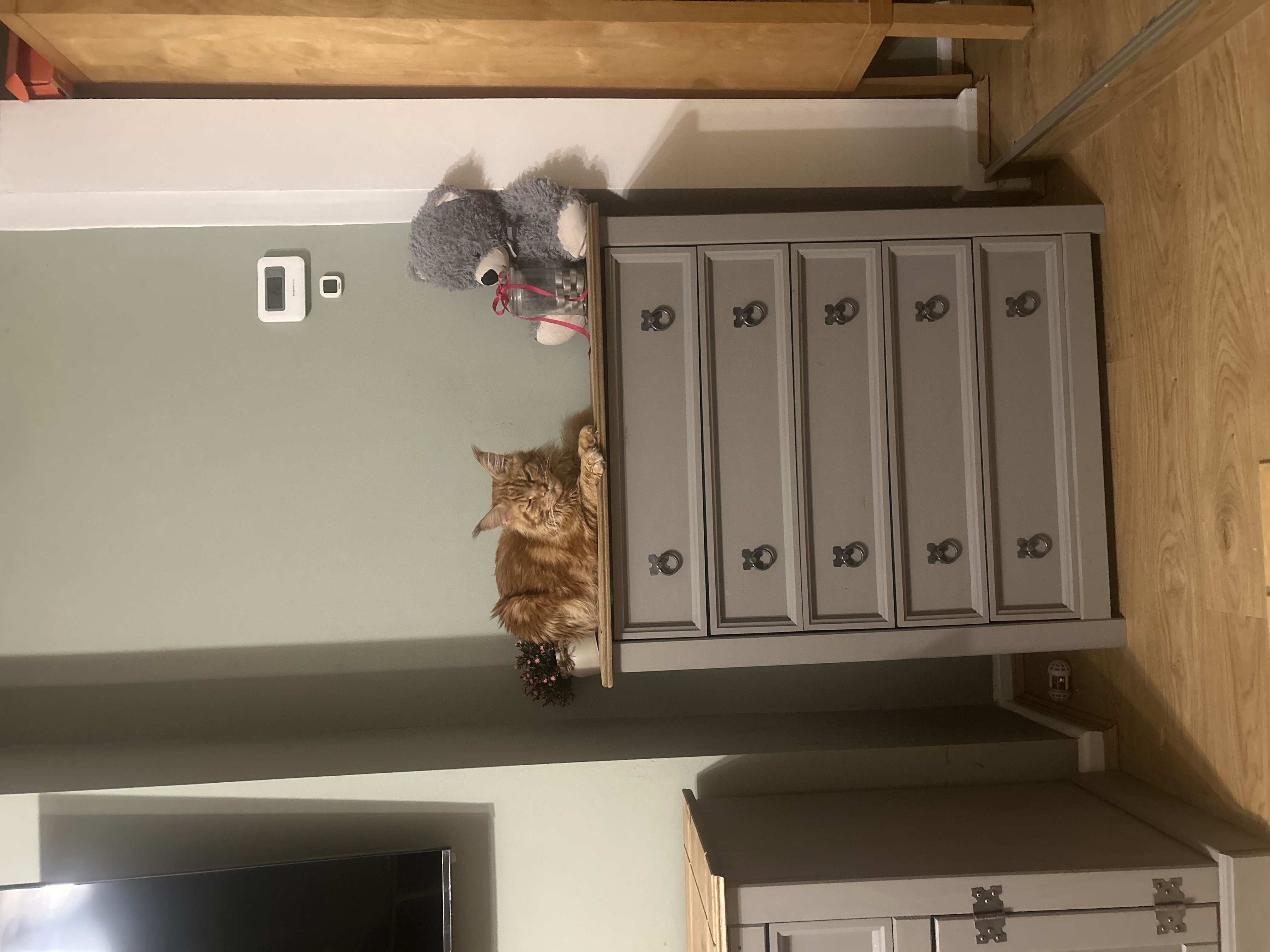 image-12