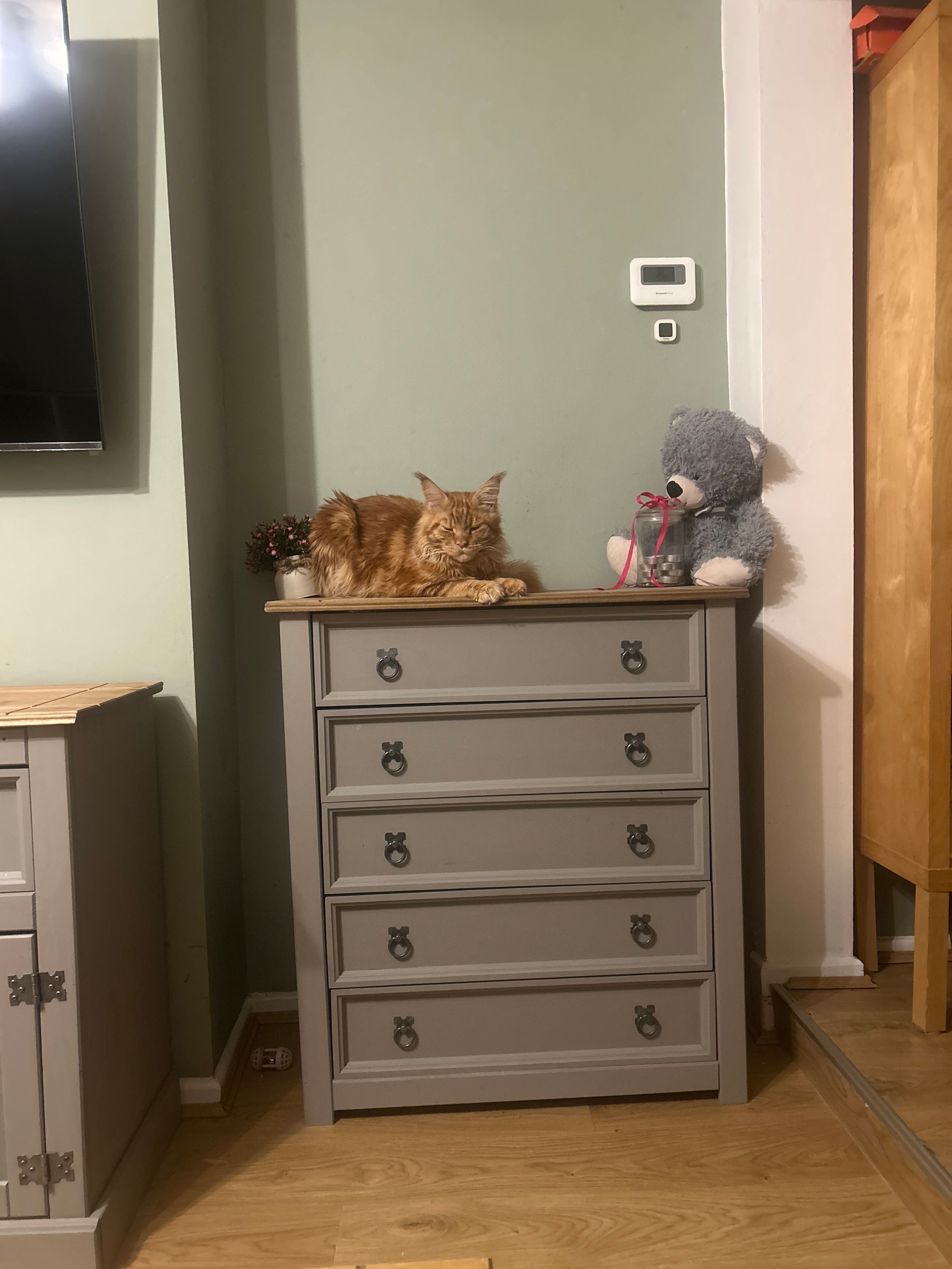 image-12