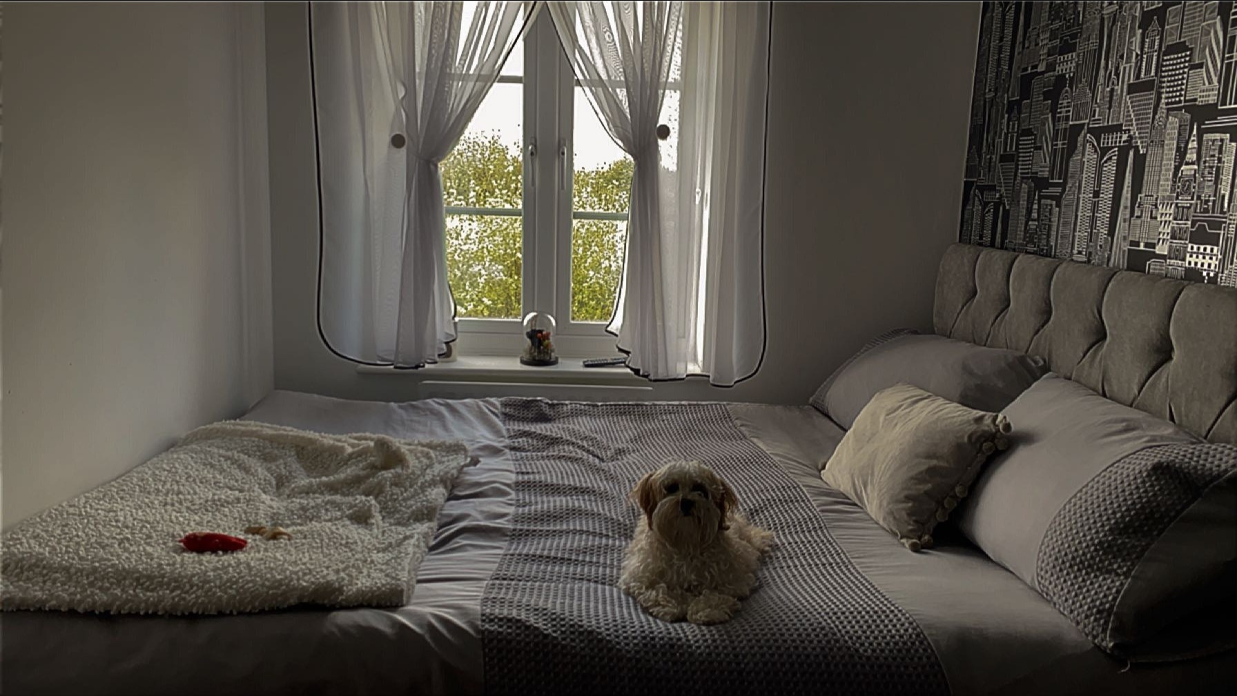 image-11