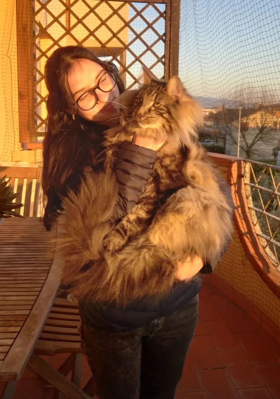 image-7