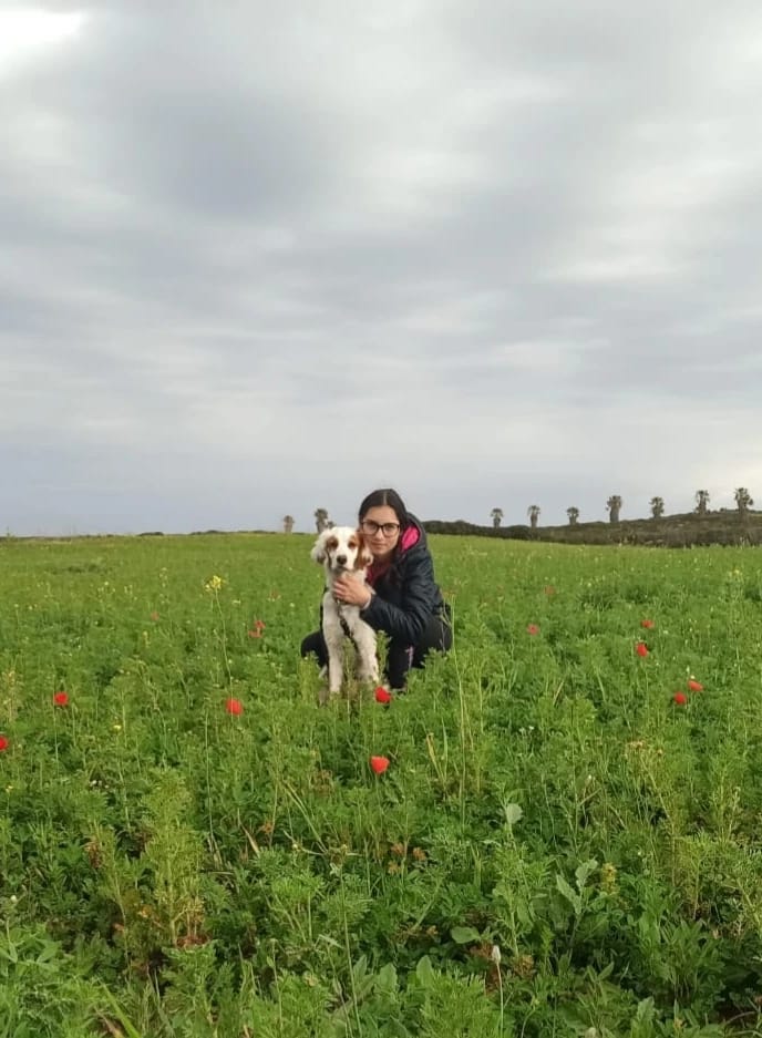 image-4