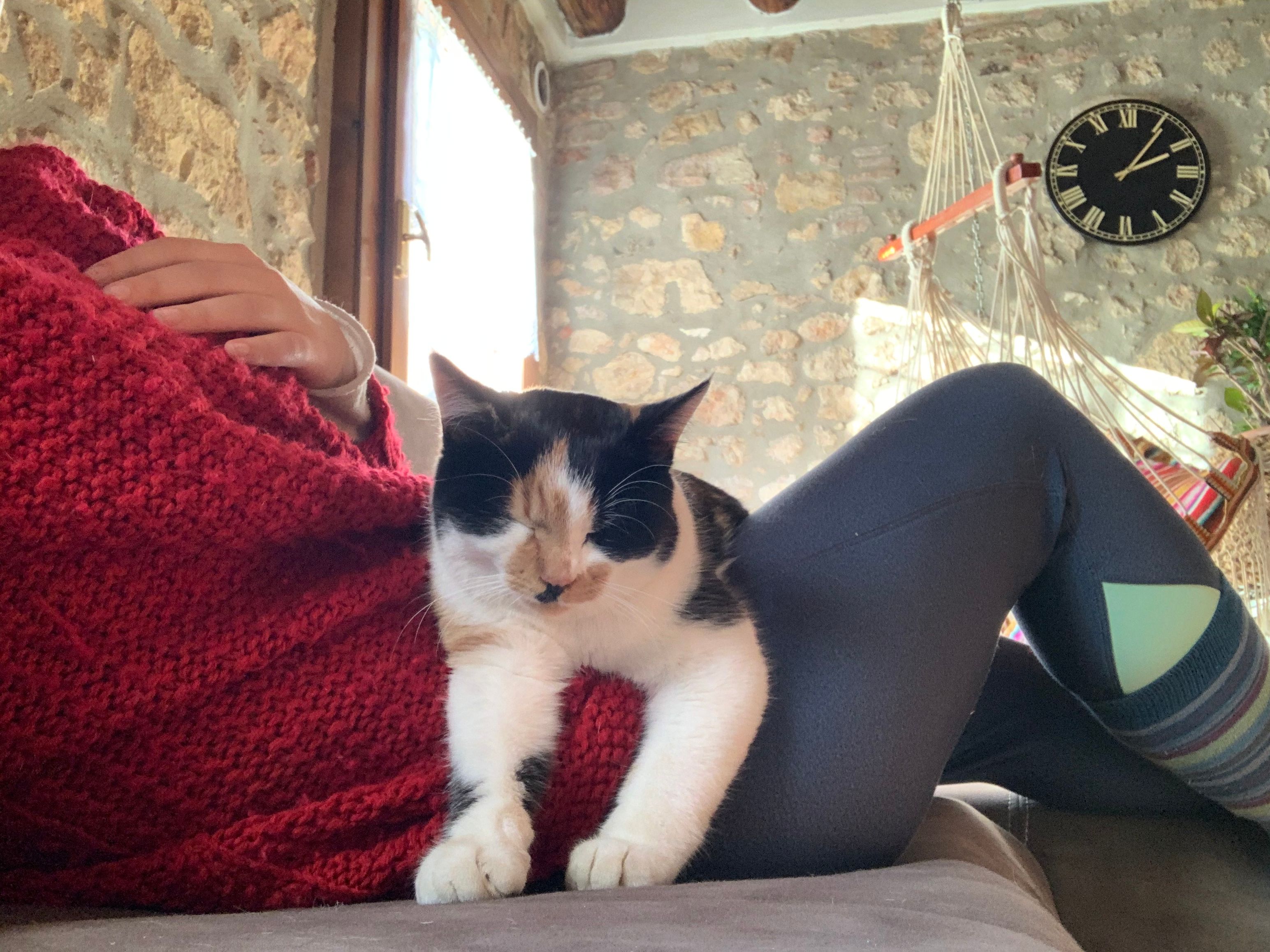 image-13