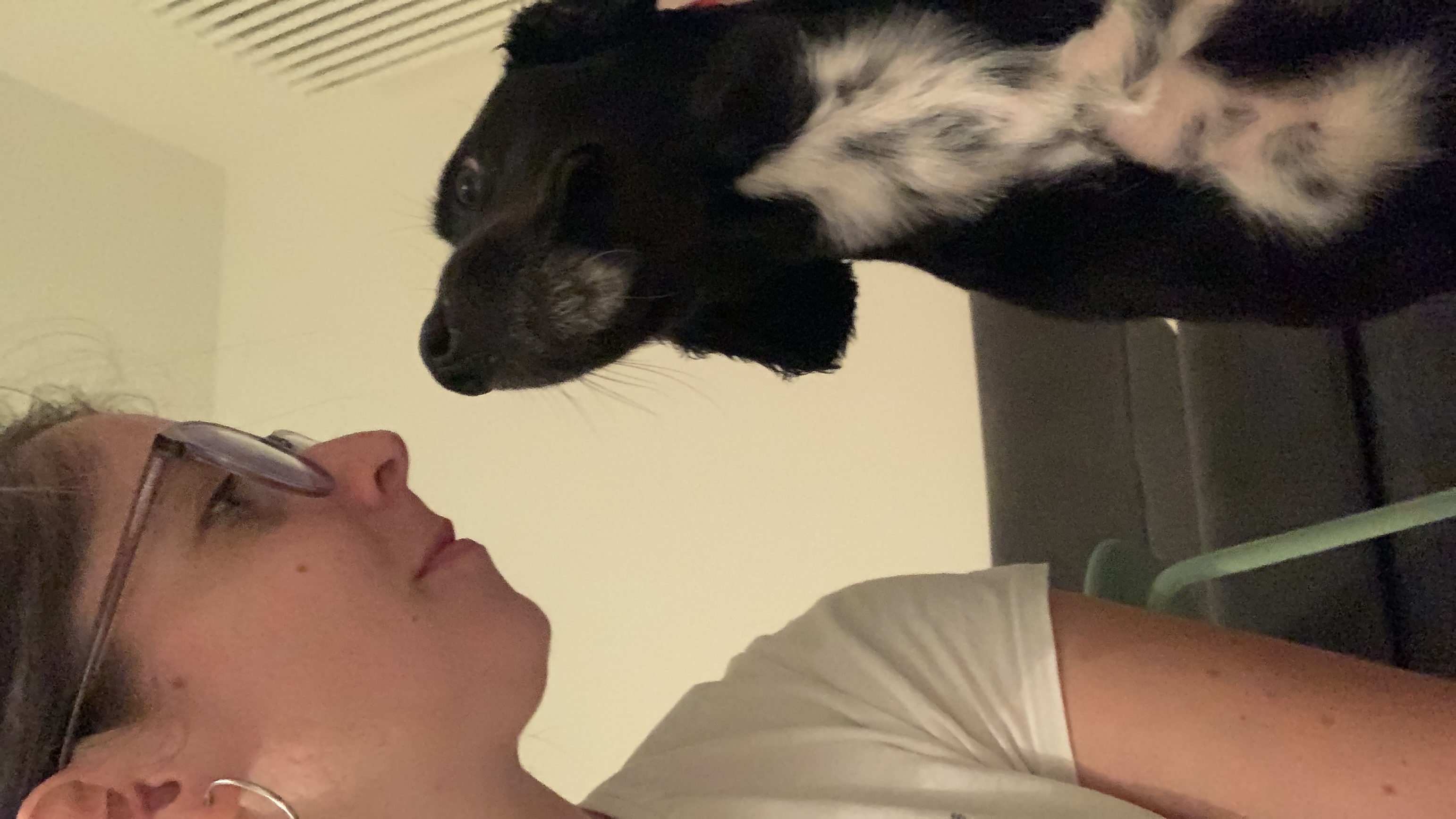 image-7