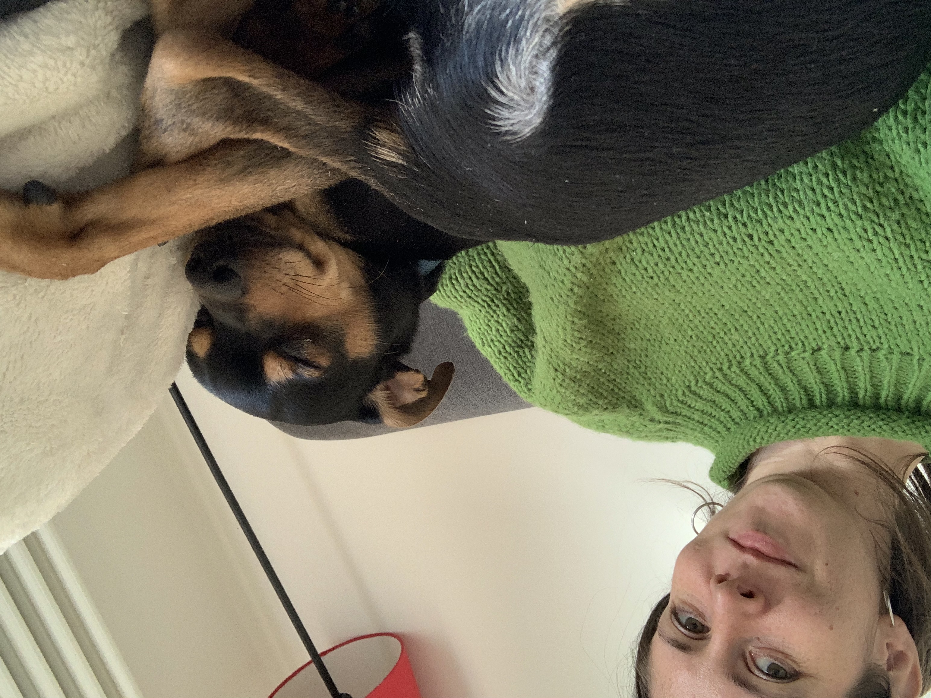 image-6