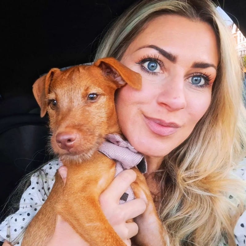 PawsWithVictoria🐾🛡DBS CHECKED▪︎CPR TRAINED❤️