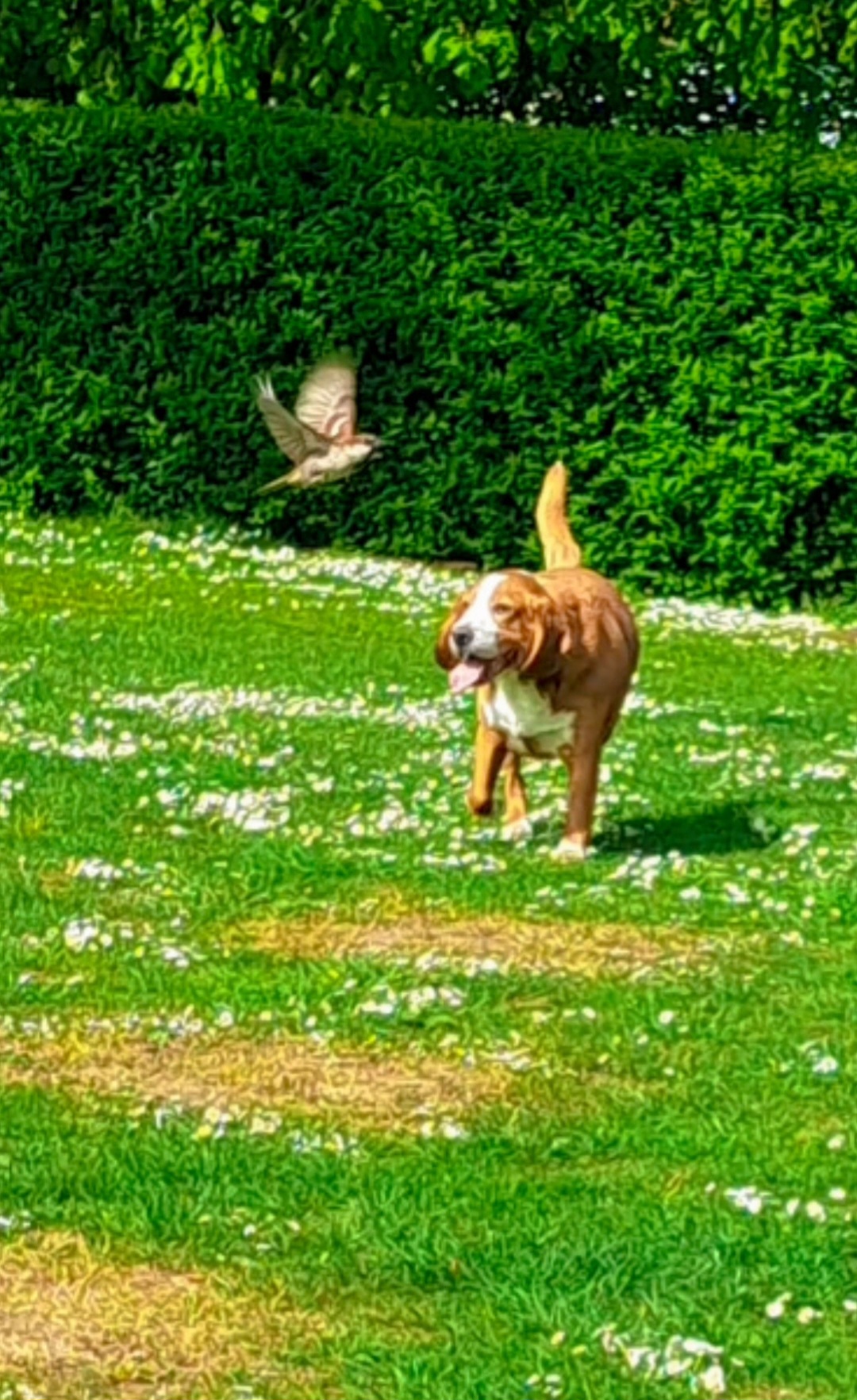 image-5