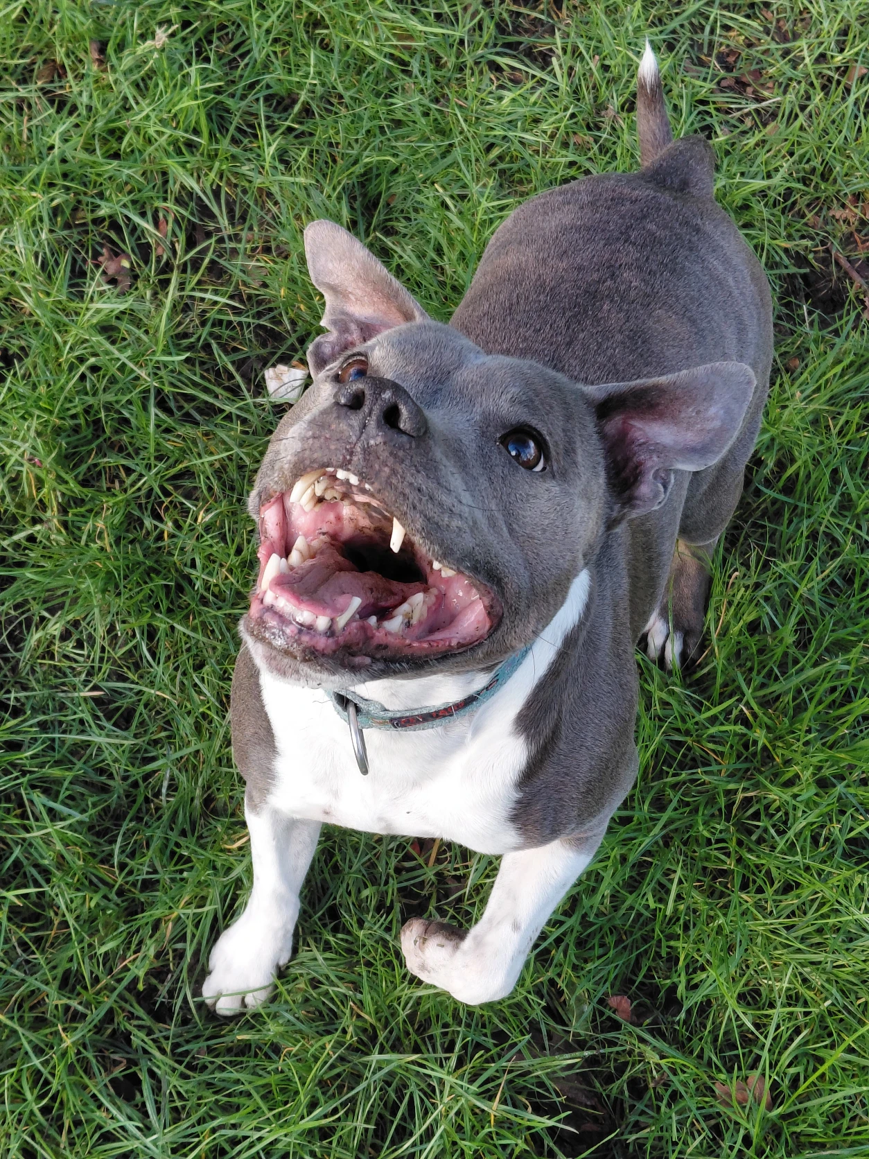image-21