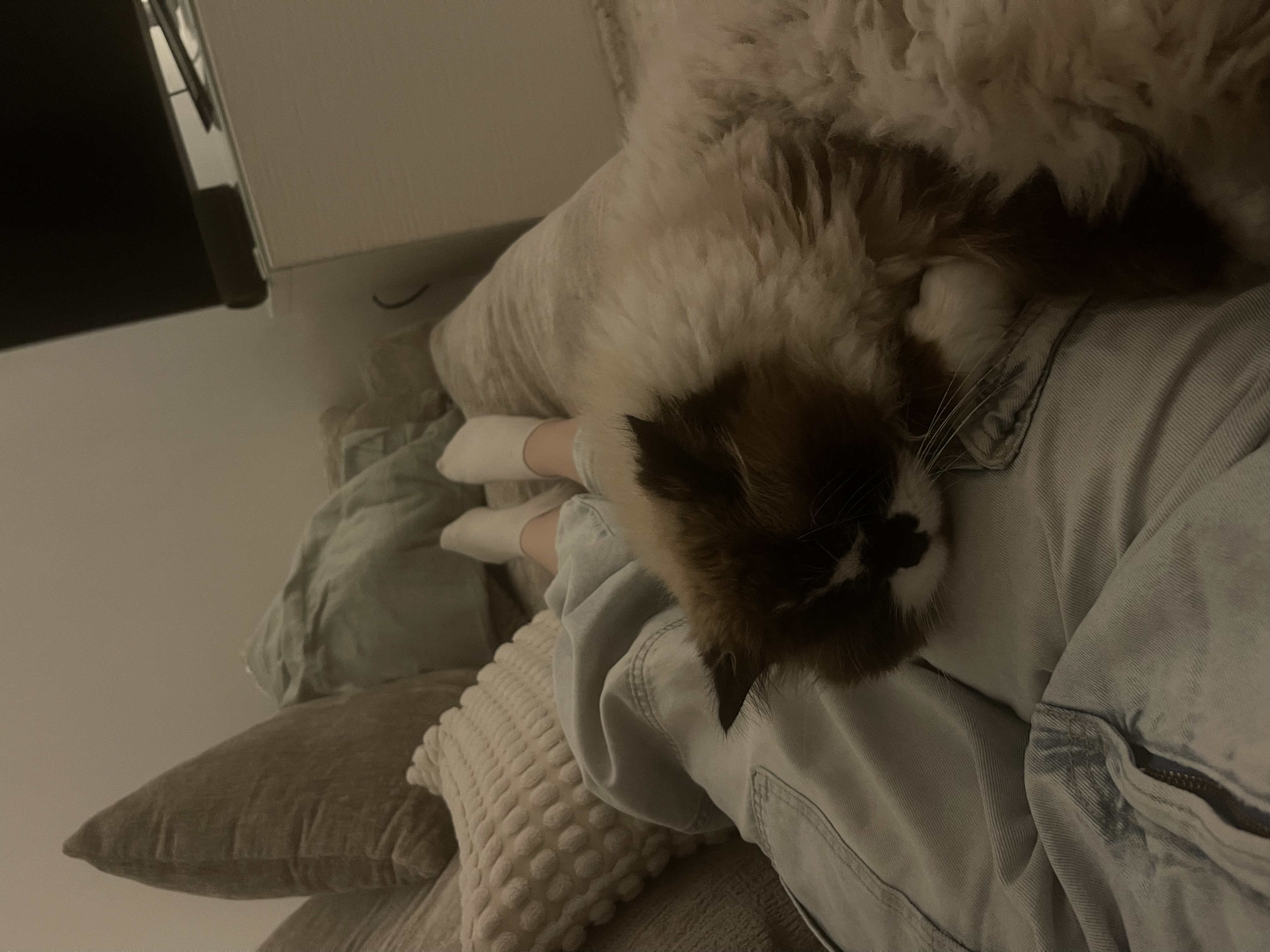image-11