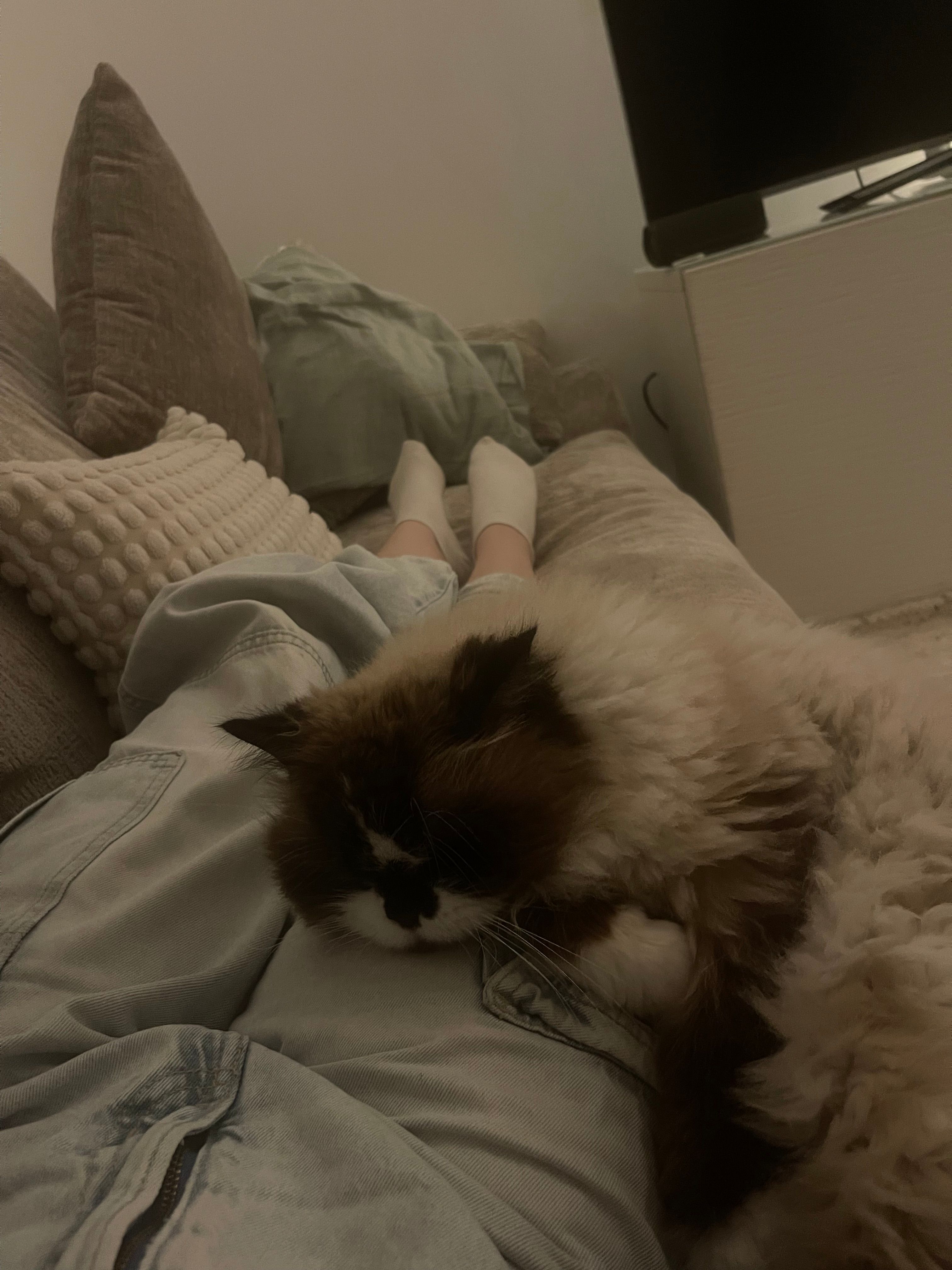 image-11
