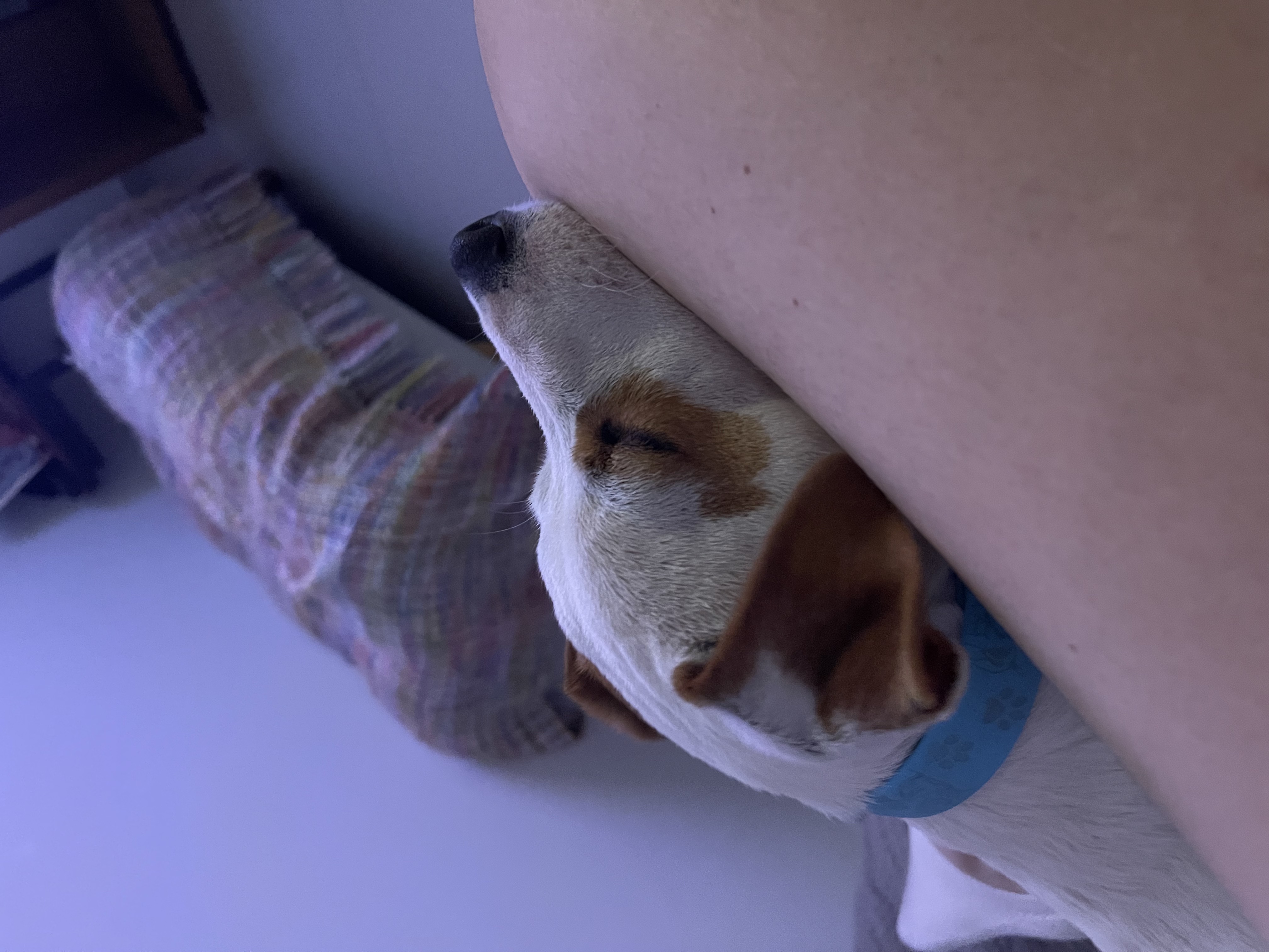 image-7