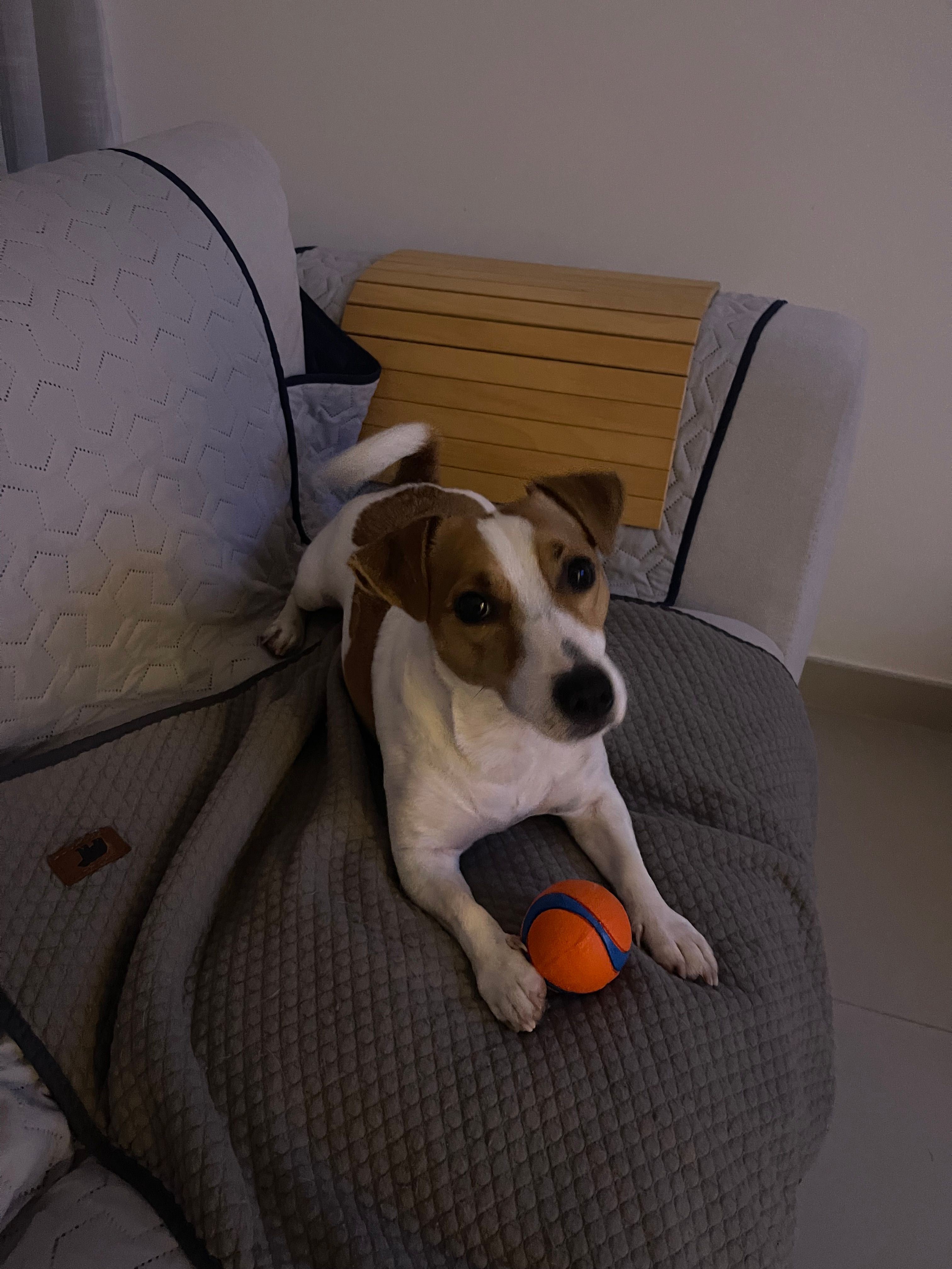 image-12