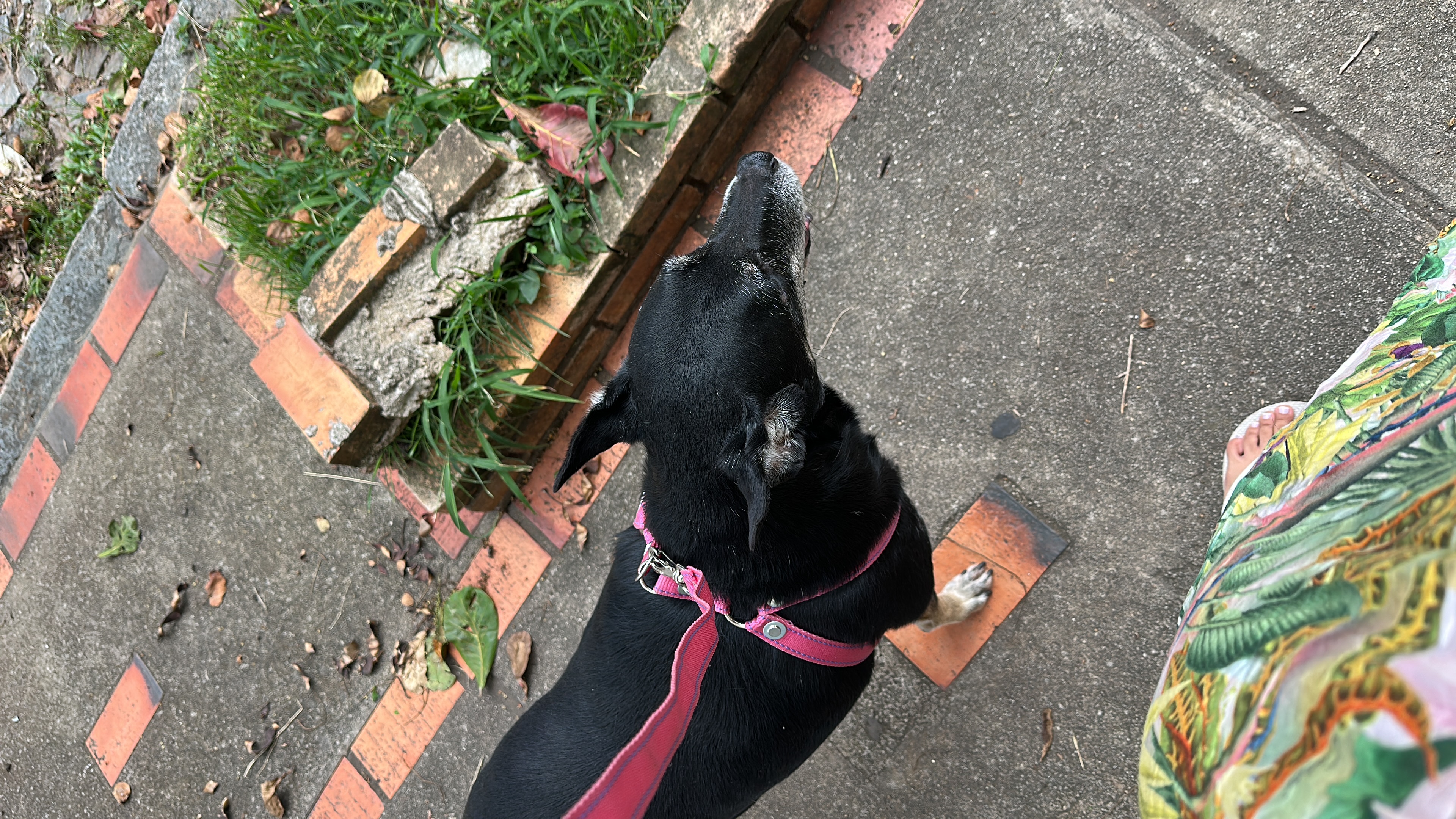 image-27