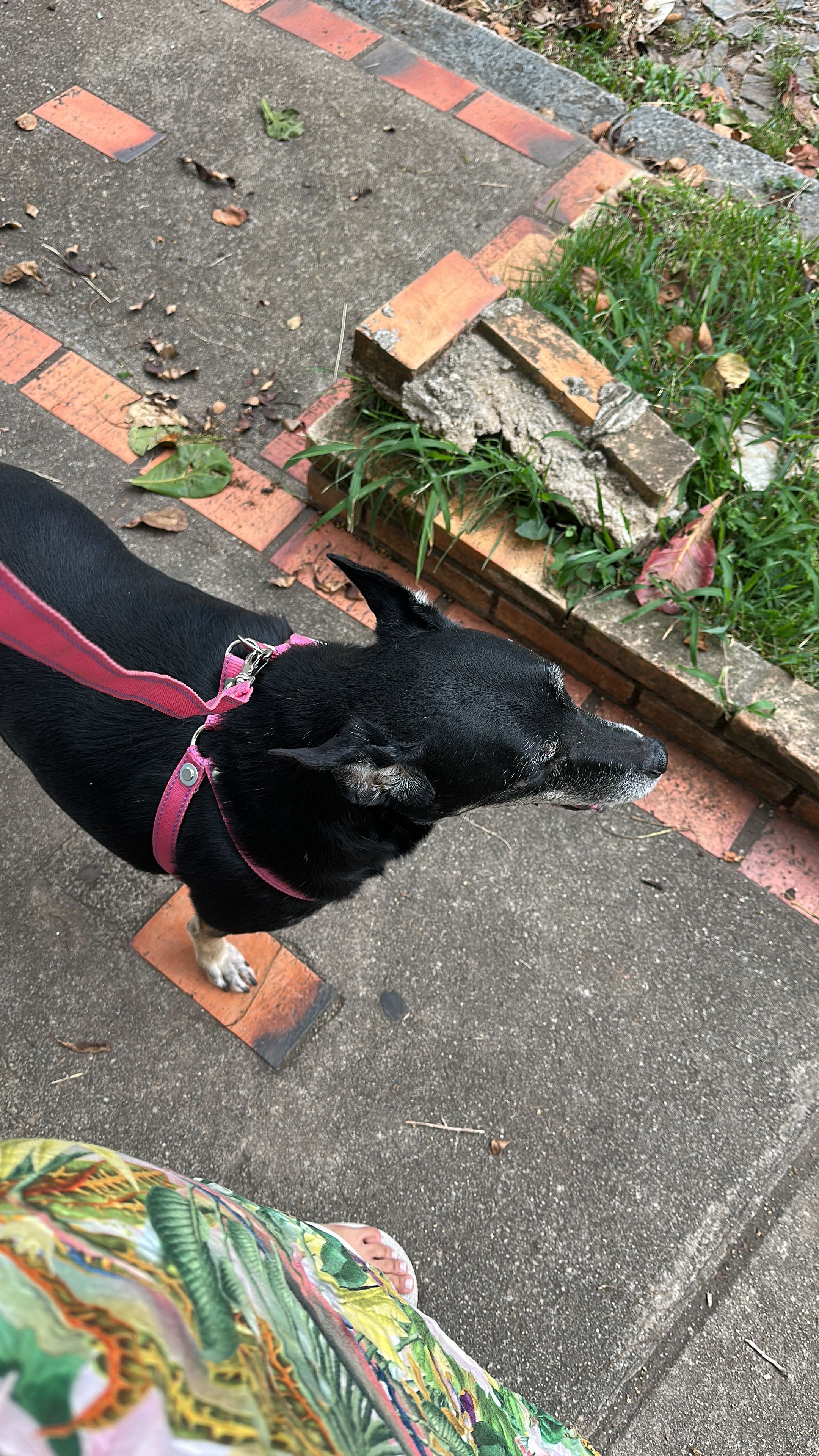 image-27