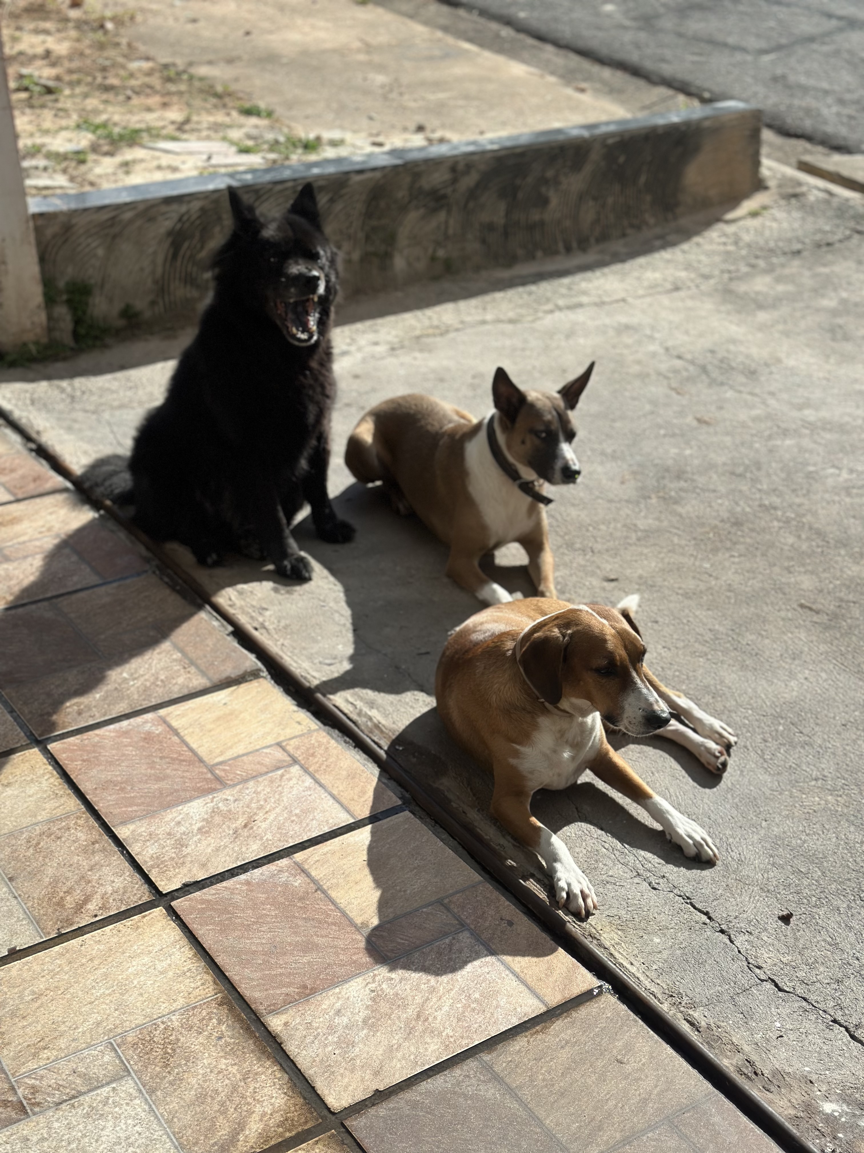 image-26