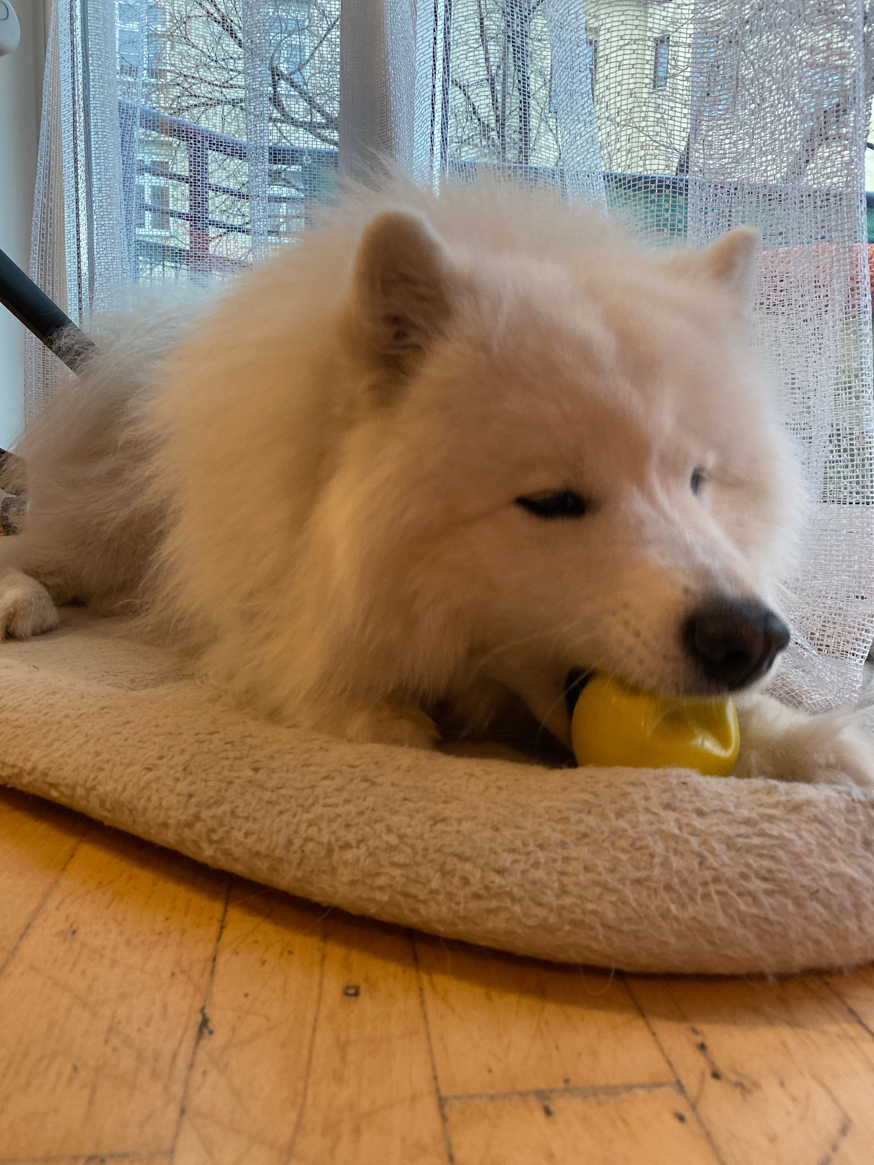 image-16