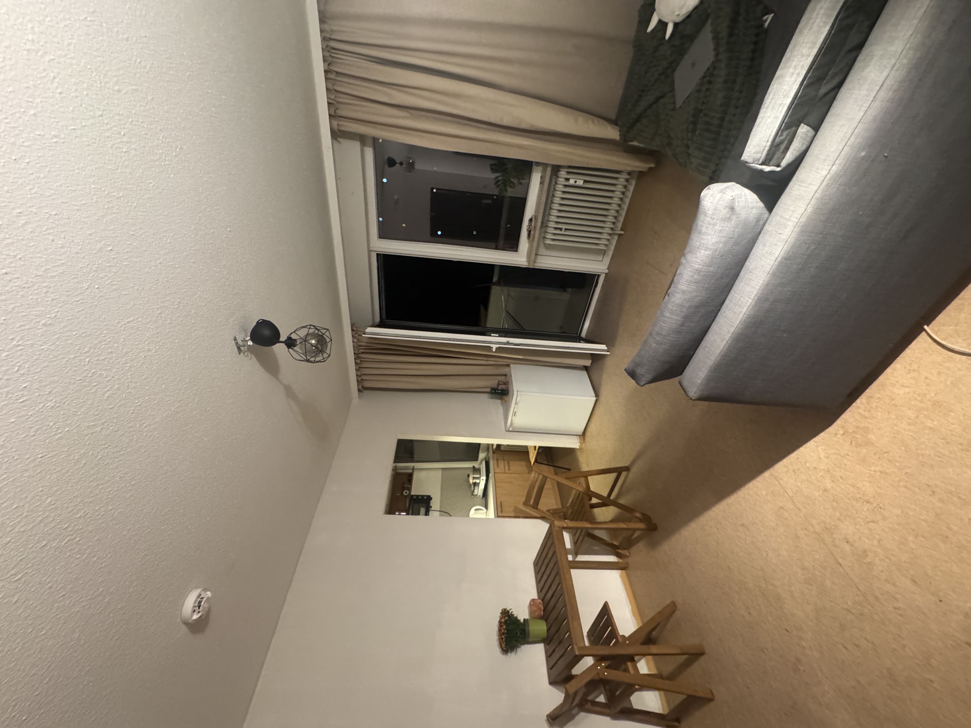 image-19