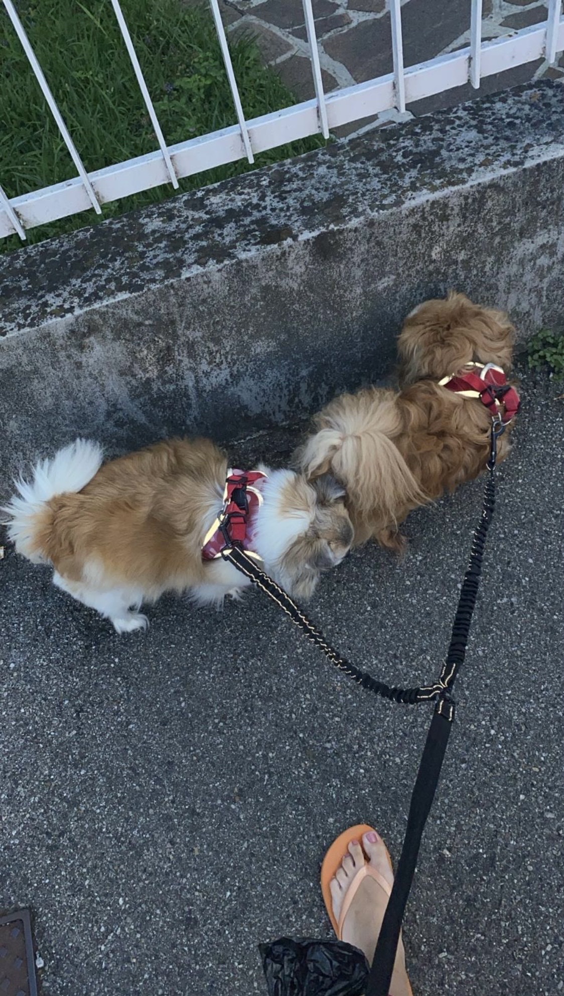 image-14