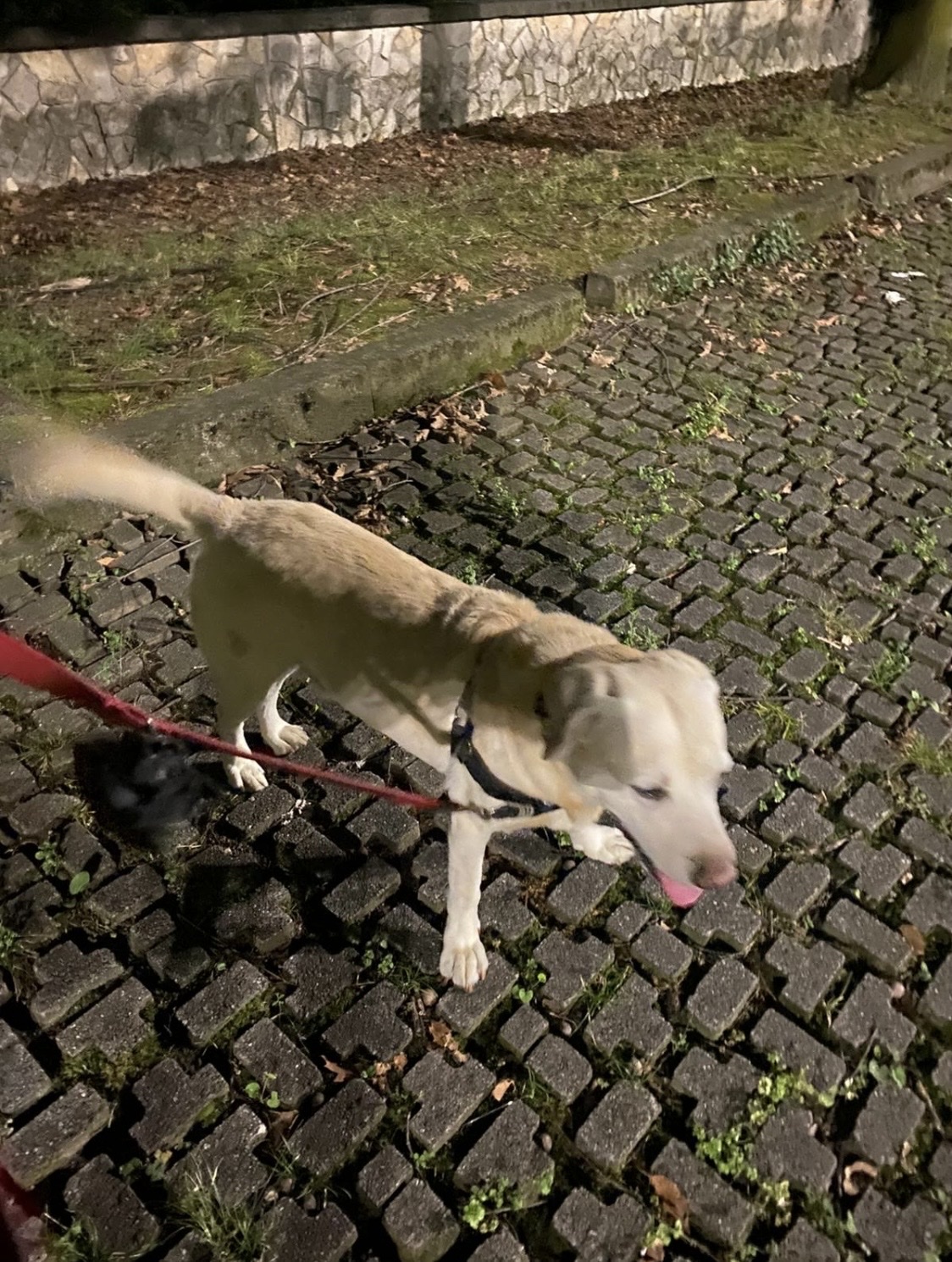 image-11